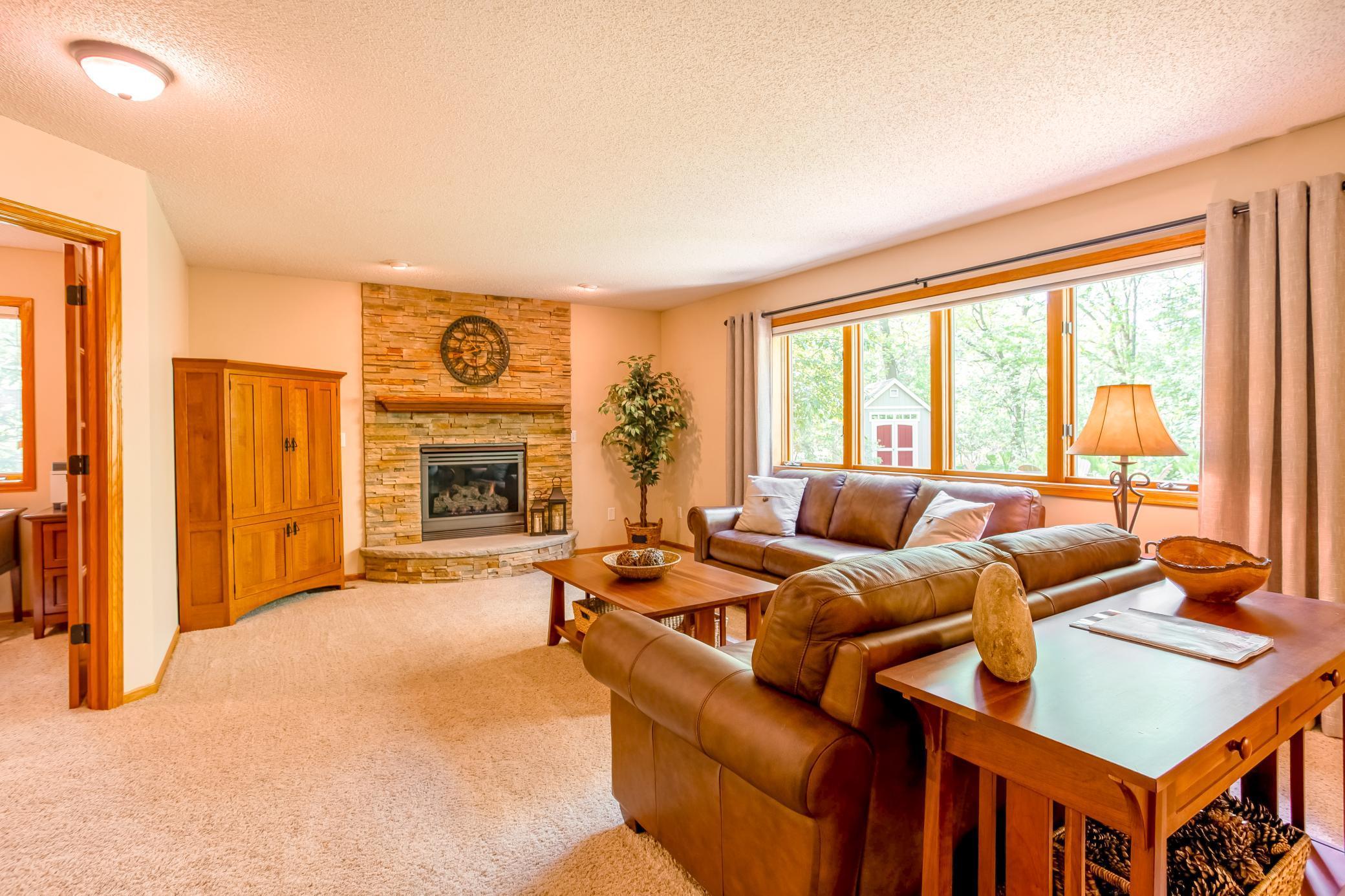 15836 Zumbrota Street, Andover, Minnesota image 17