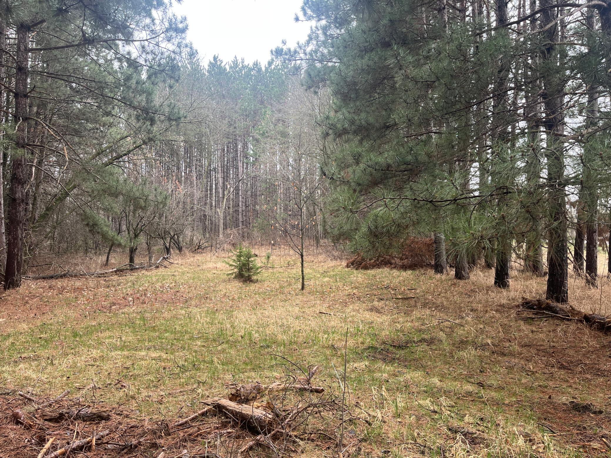 Xxxxx Old 67 Road, Henning, Minnesota image 1
