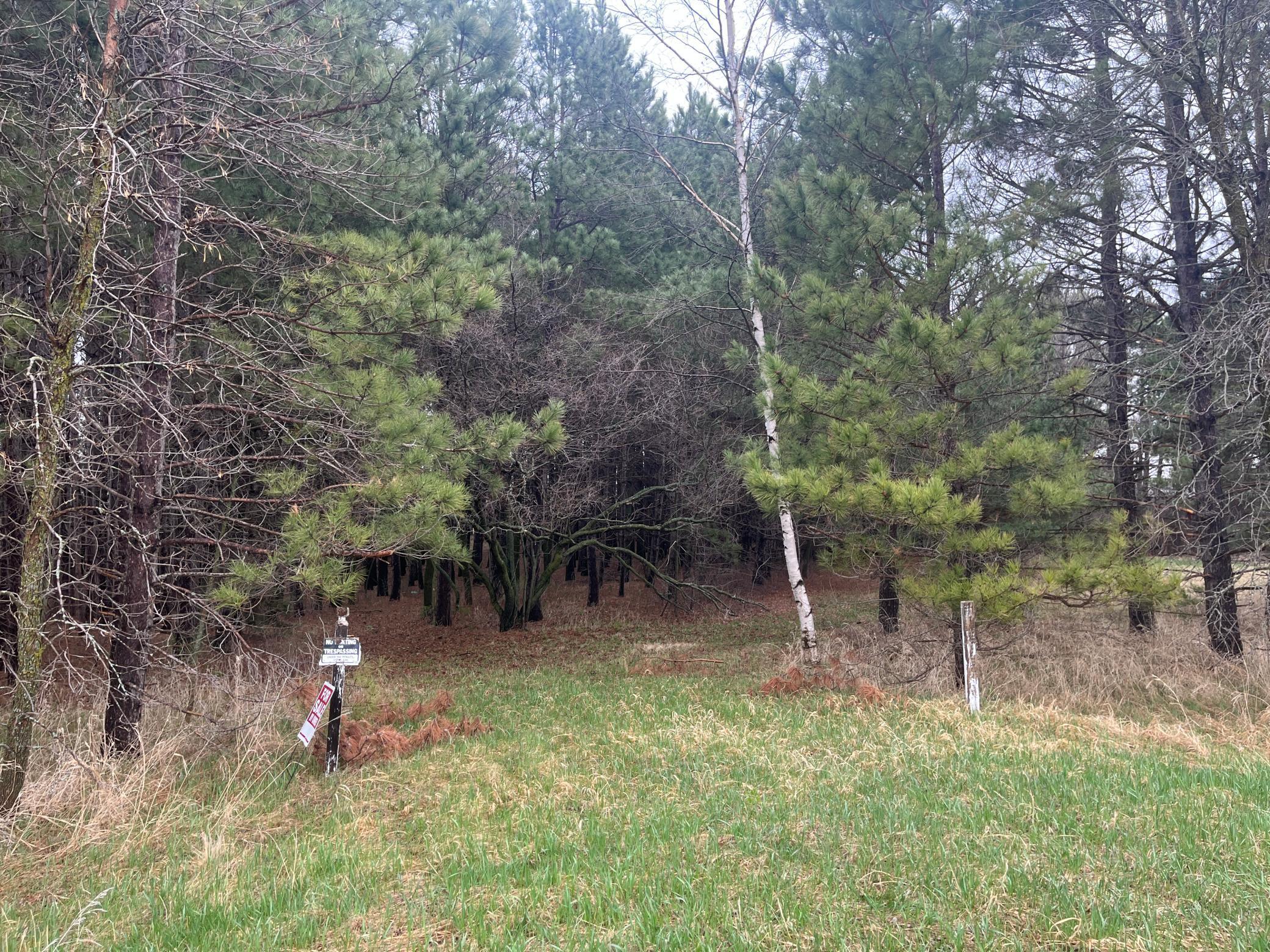 Xxxxx Old 67 Road, Henning, Minnesota image 10