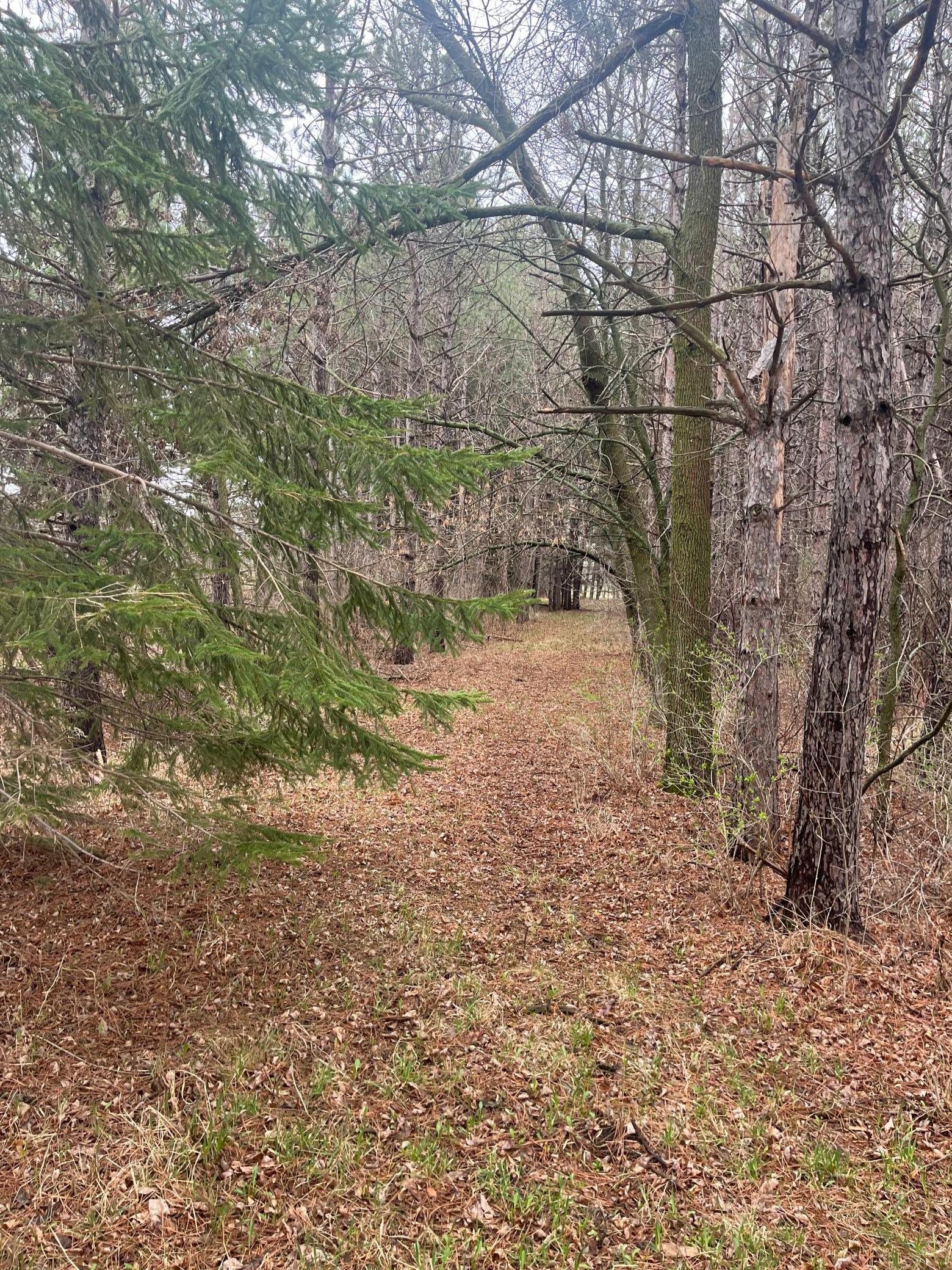 Xxxxx Old 67 Road, Henning, Minnesota image 6