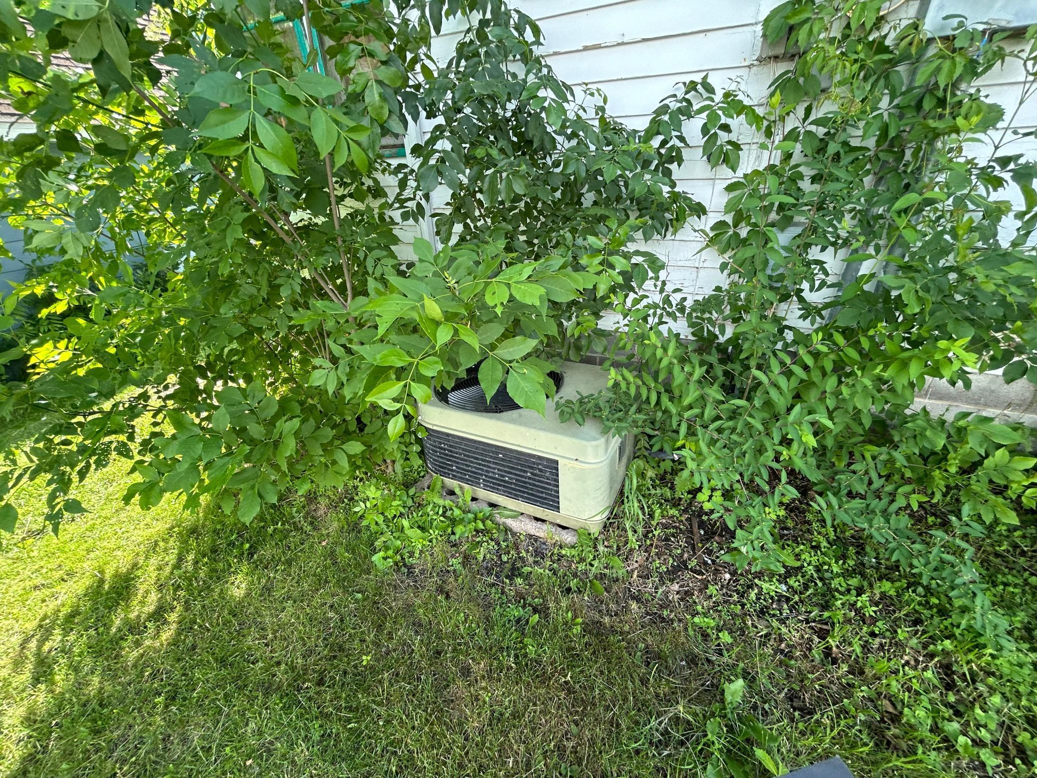 612 Oscar Avenue, Canby, Minnesota image 14