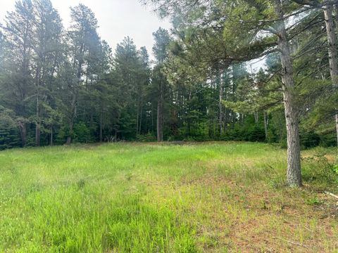 Vacant Land For Sale - TBD TRACT 1 County 13<br/> Hubbard County, Nevis, MN 56467