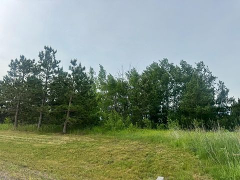 Vacant Land For Sale - TBD TRACT 1 County 13<br/> Nevis, MN 56467