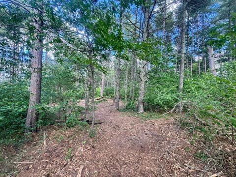 Vacant Land For Sale - TBD TRACT 1 County 13<br/> Nevis, MN 56467