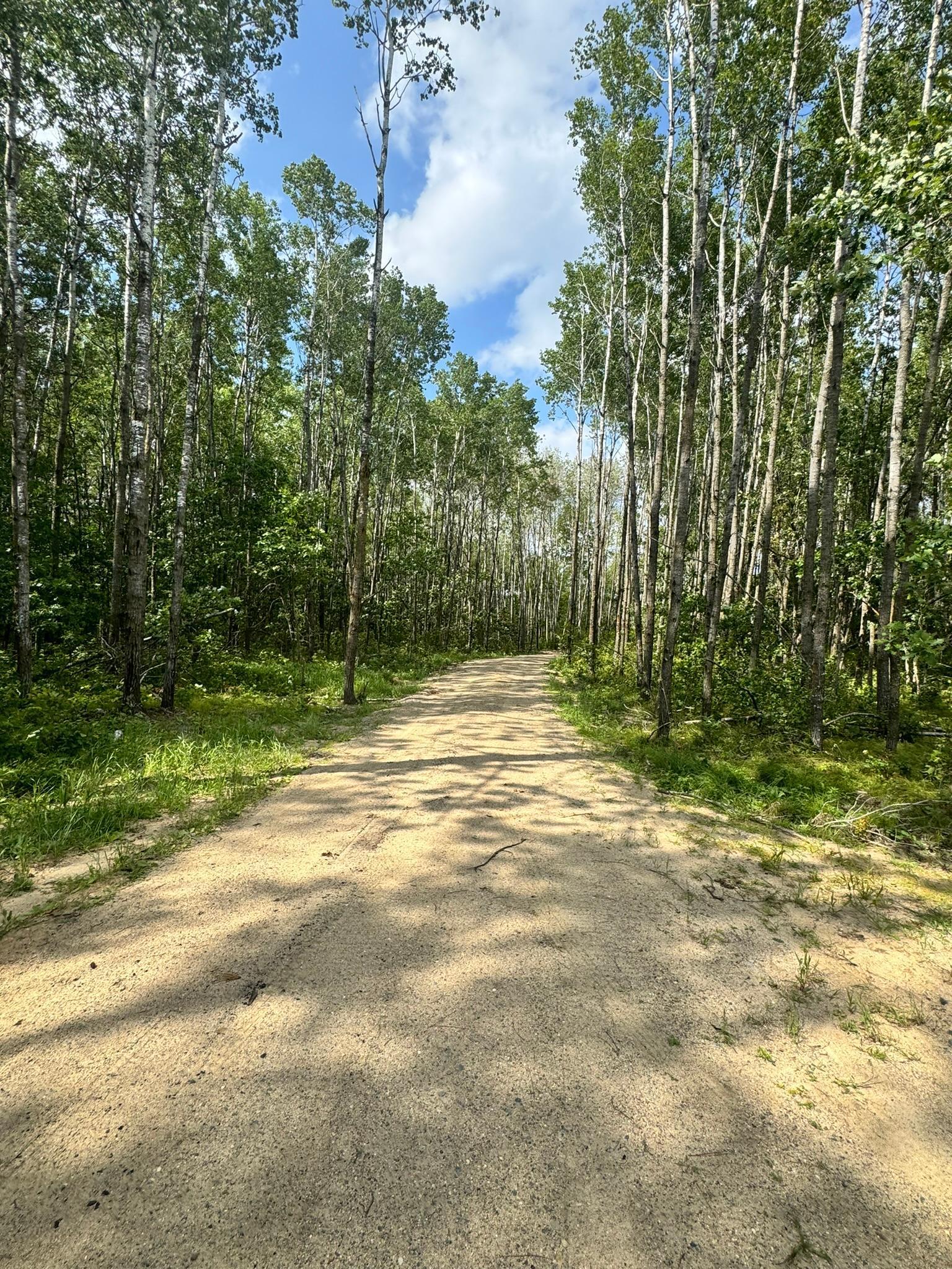 TBD County 13, Nevis, Minnesota image 10