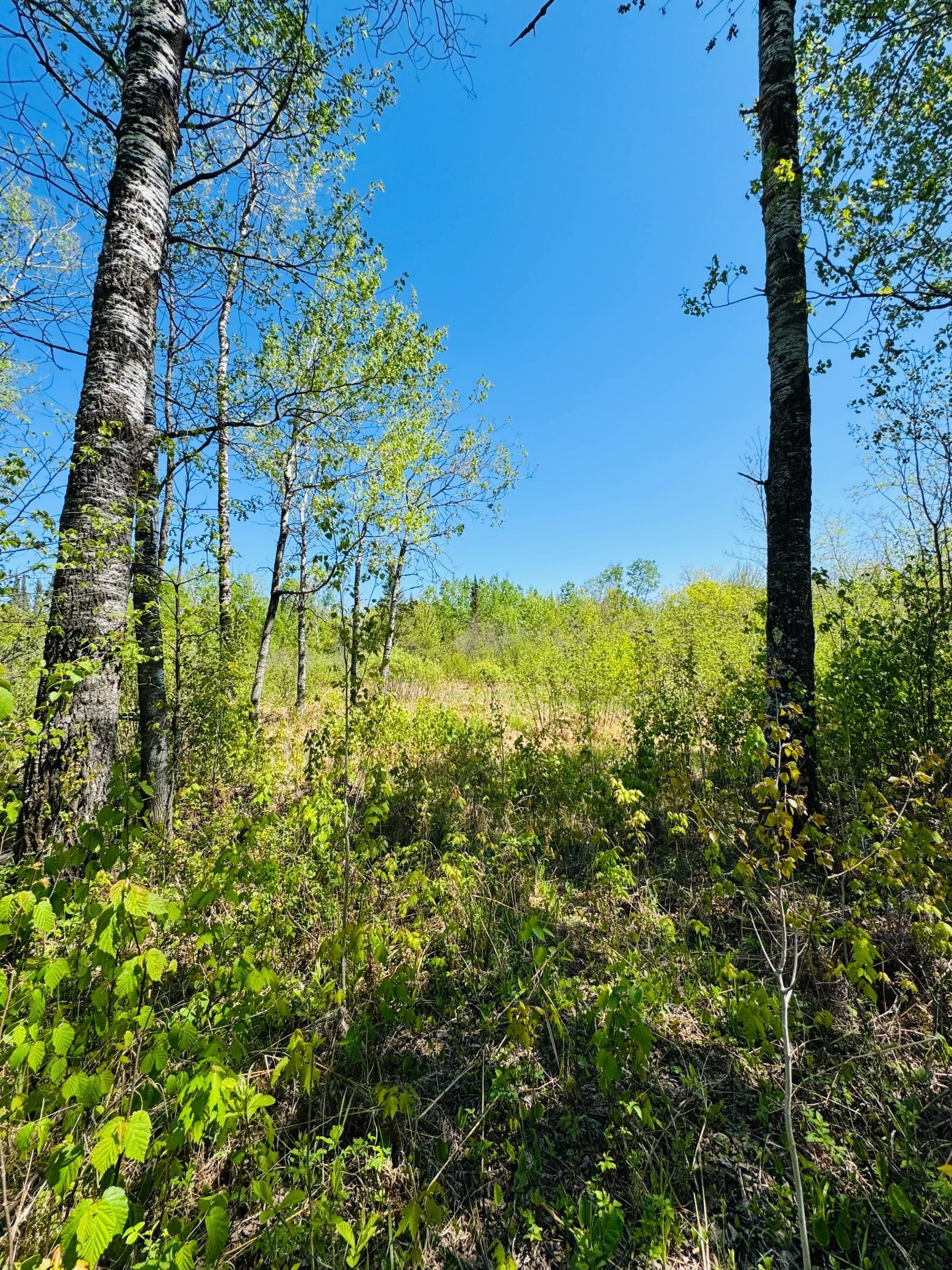 Lot 1 Hanson Lake Road, Grand Rapids, Minnesota image 15