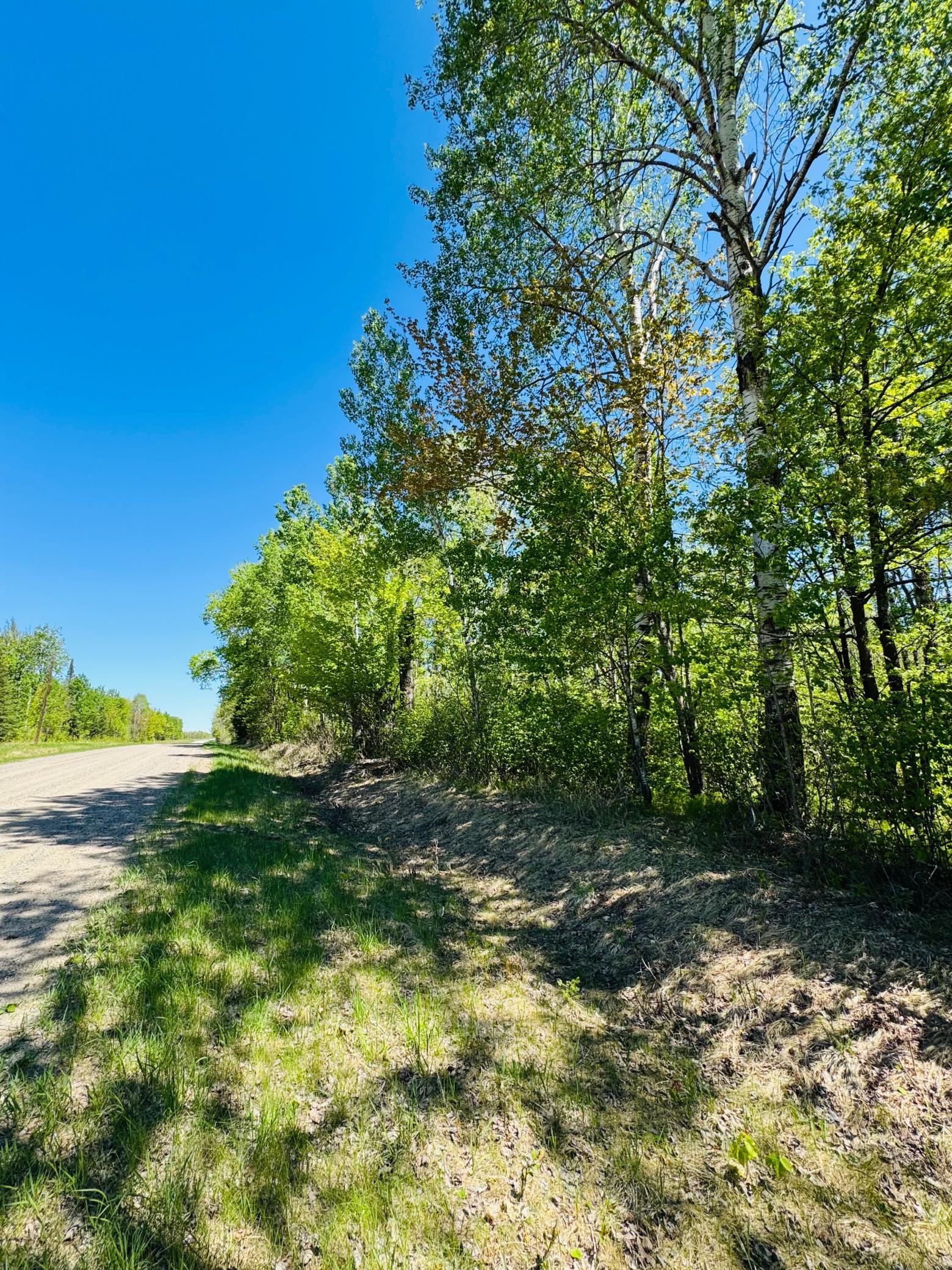 Lot 1 Hanson Lake Road, Grand Rapids, Minnesota image 8