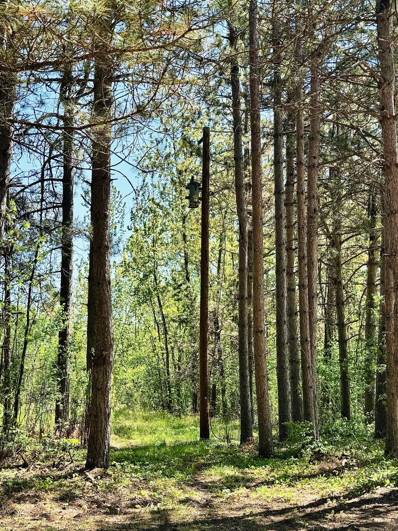 Lot 1 Hanson Lake Road, Grand Rapids, Minnesota image 17
