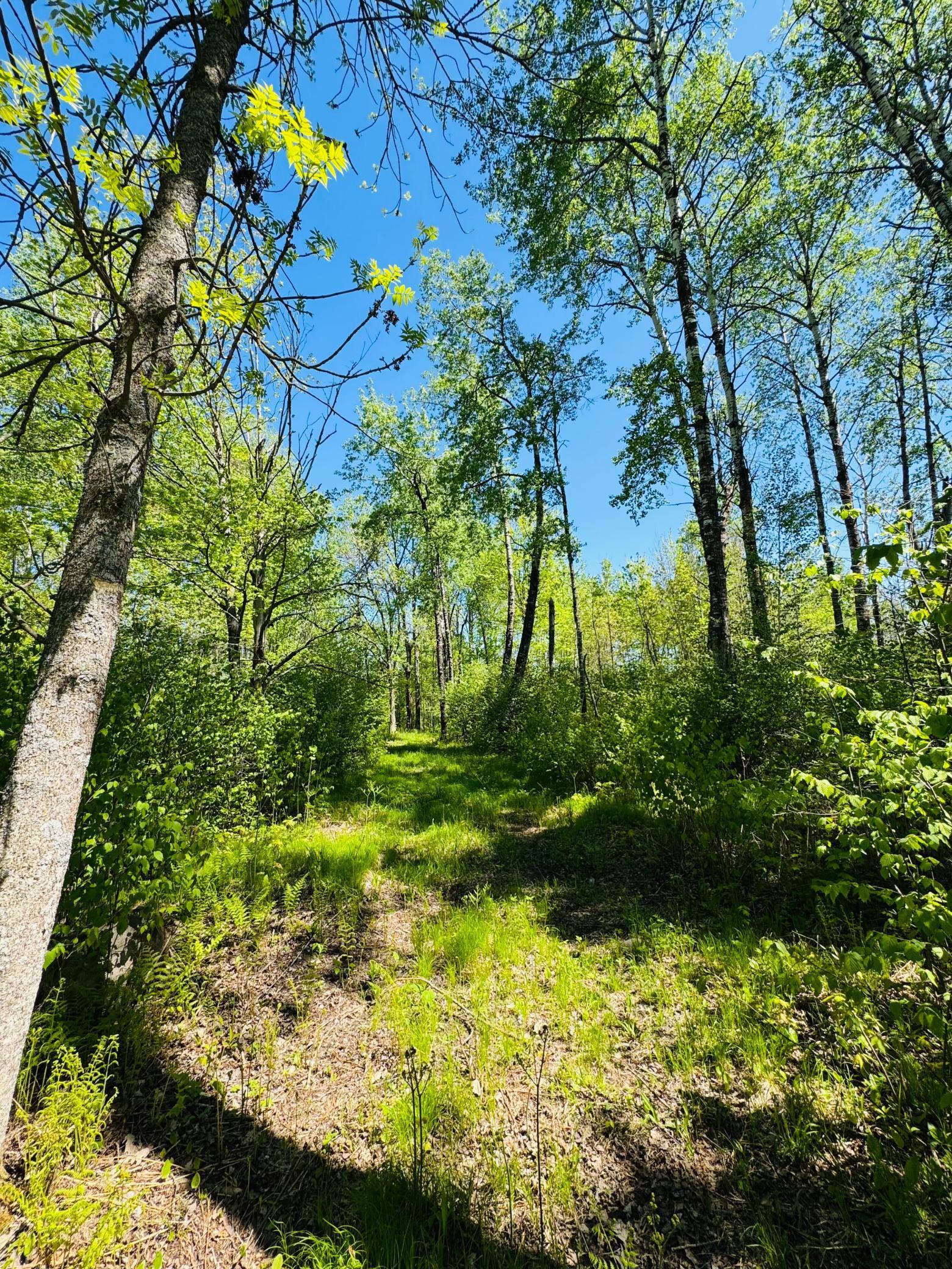 Lot 1 Hanson Lake Road, Grand Rapids, Minnesota image 12