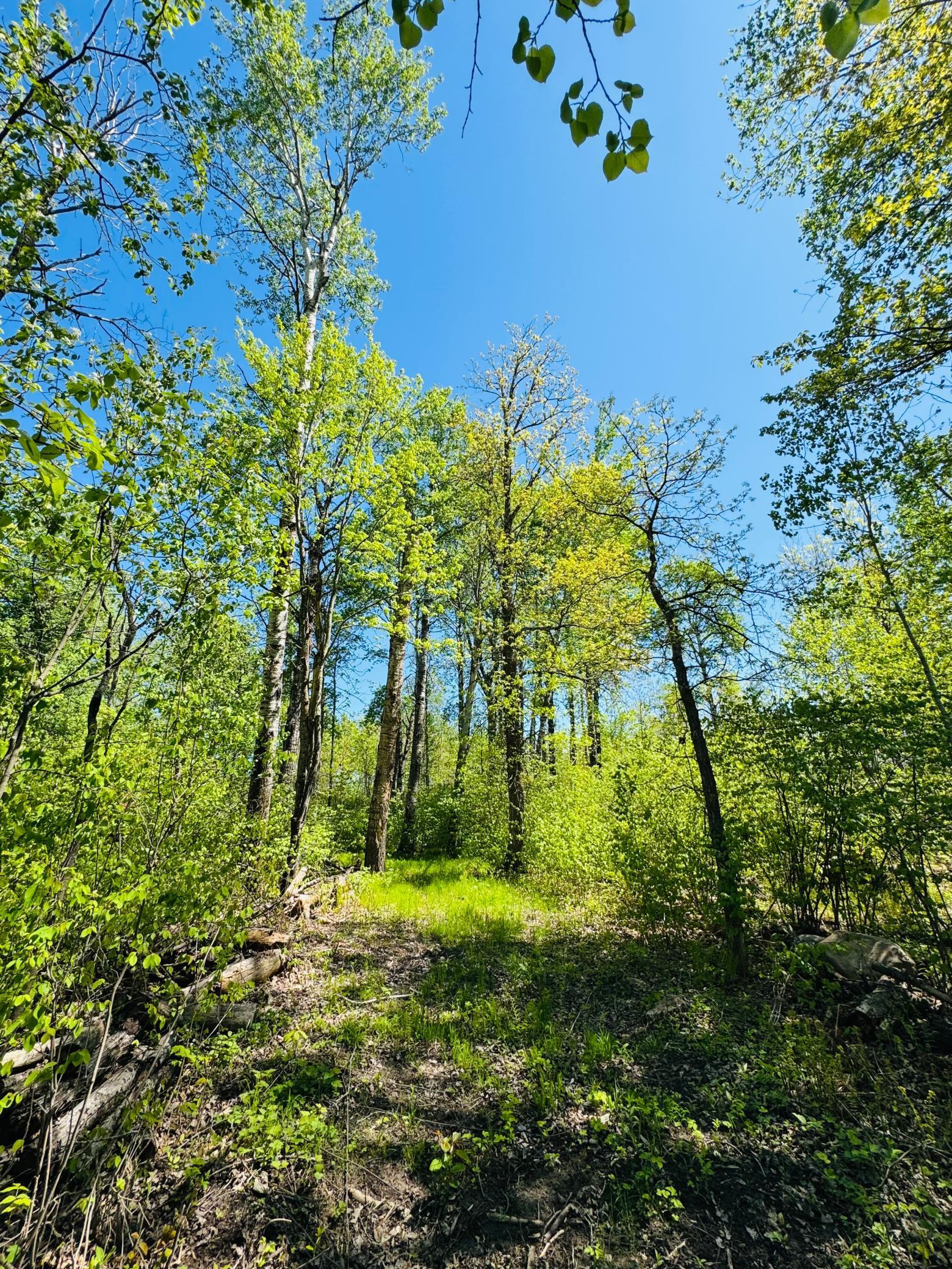 Lot 1 Hanson Lake Road, Grand Rapids, Minnesota image 11