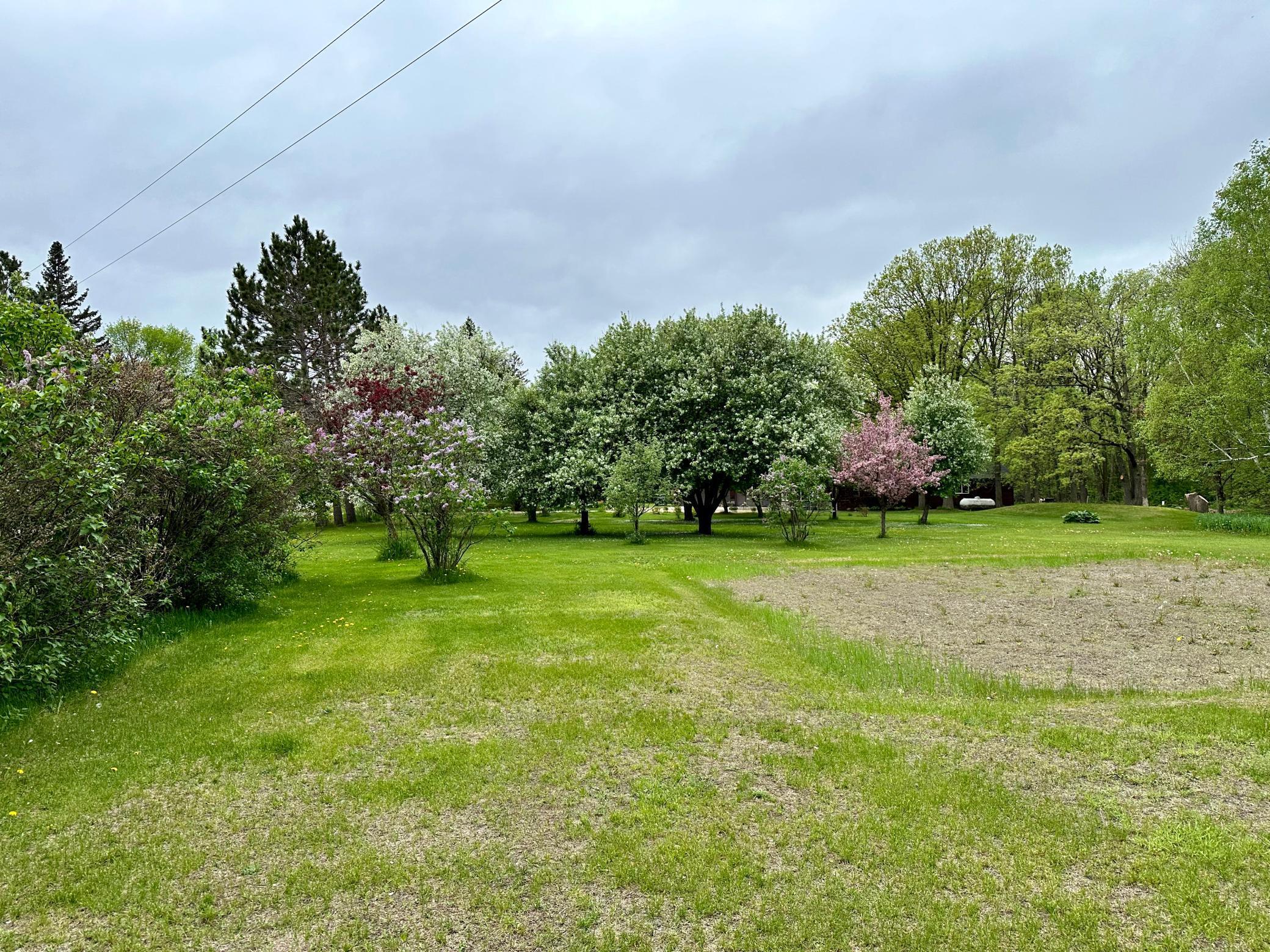 40358 Little Toad Lake Road, Frazee, Minnesota image 20
