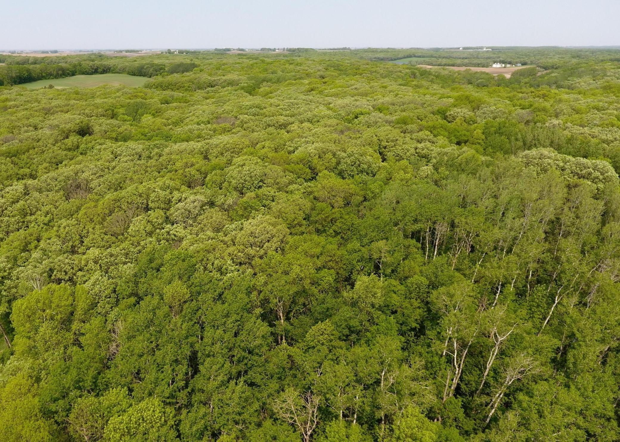 149XX Co Hwy 30 [d], Pelican Rapids, Minnesota image 30