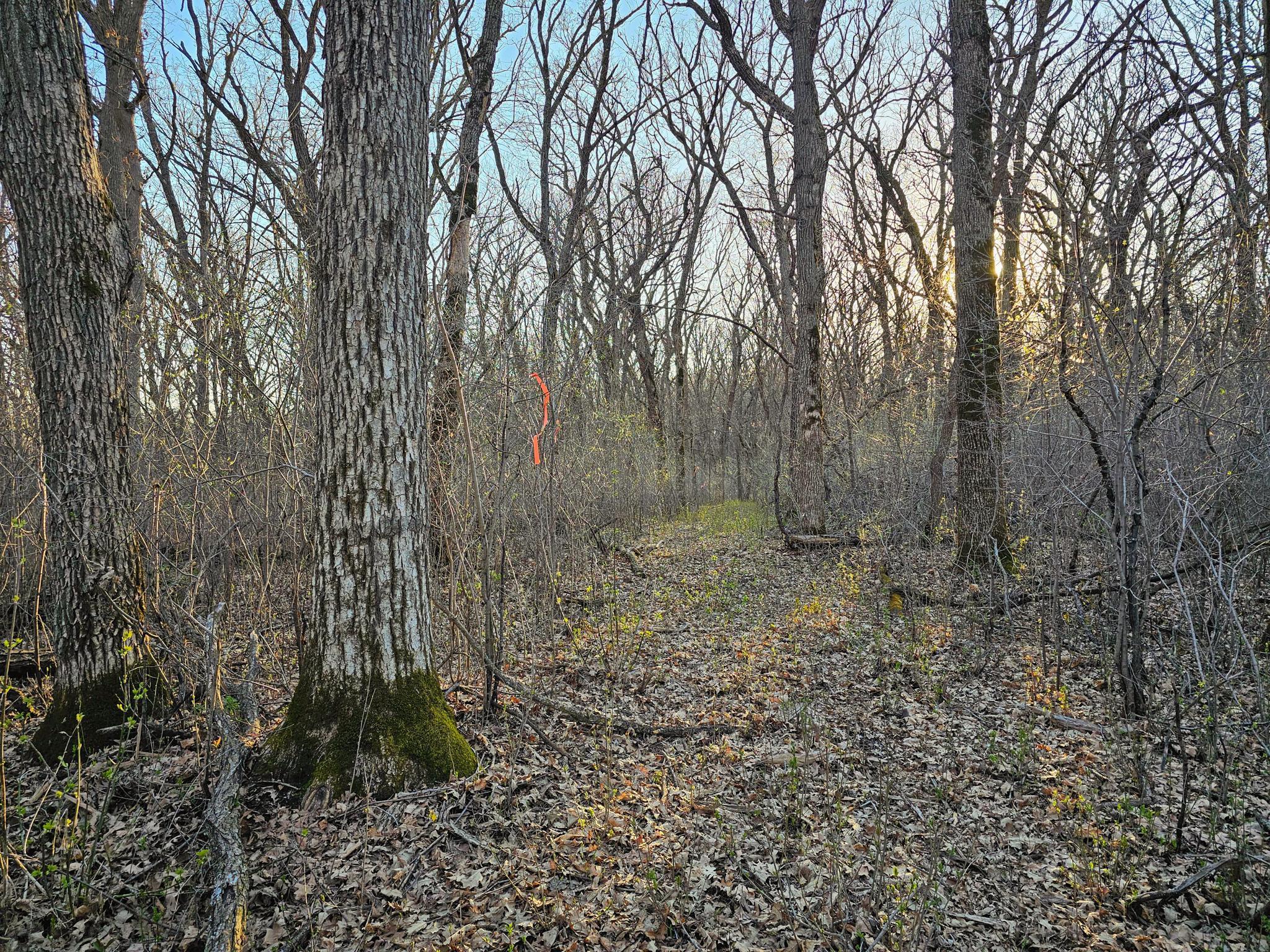 149XX Co Hwy 30 [d], Pelican Rapids, Minnesota image 11