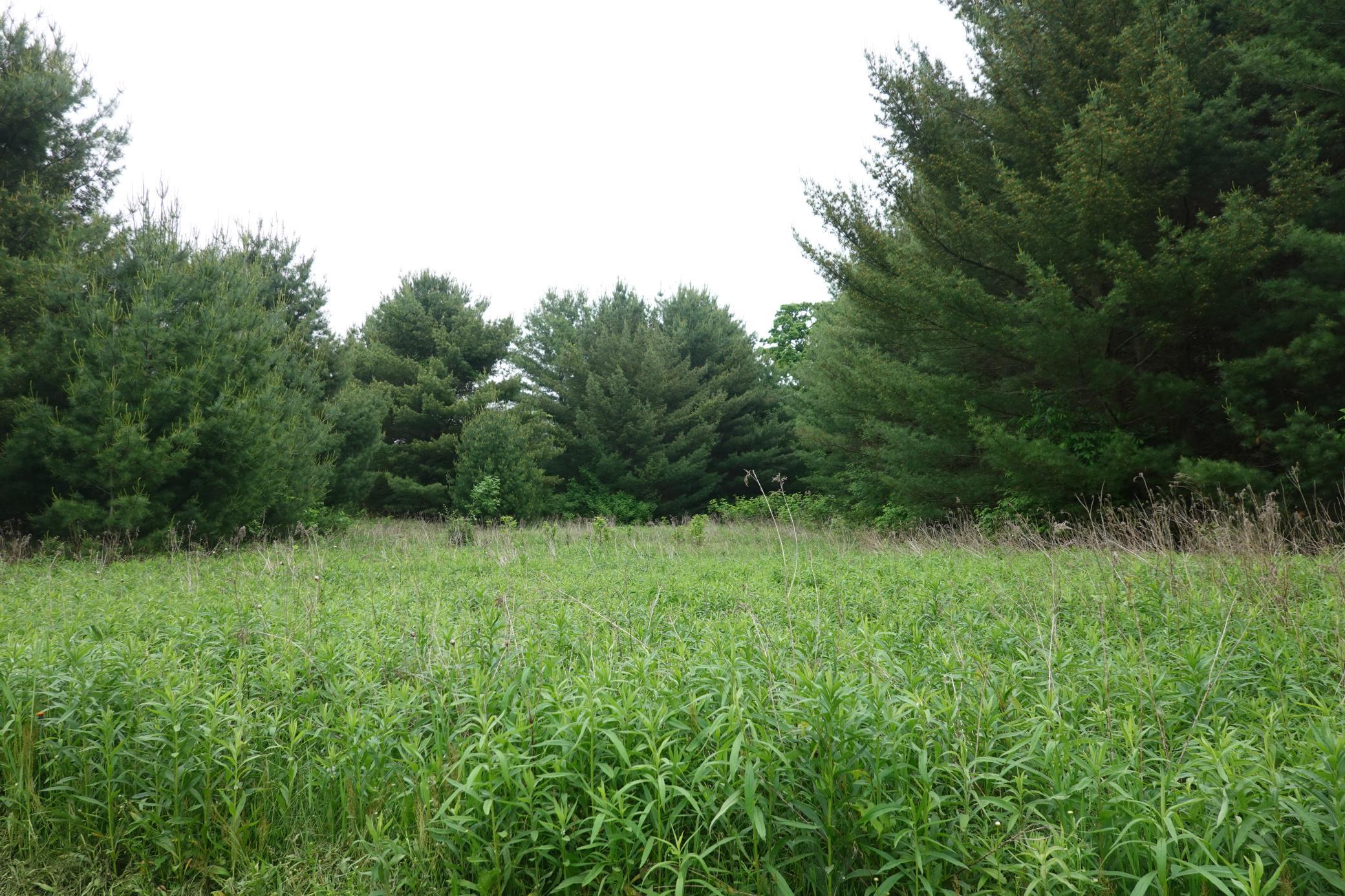 487 146th Avenue, Somerset, Wisconsin image 23