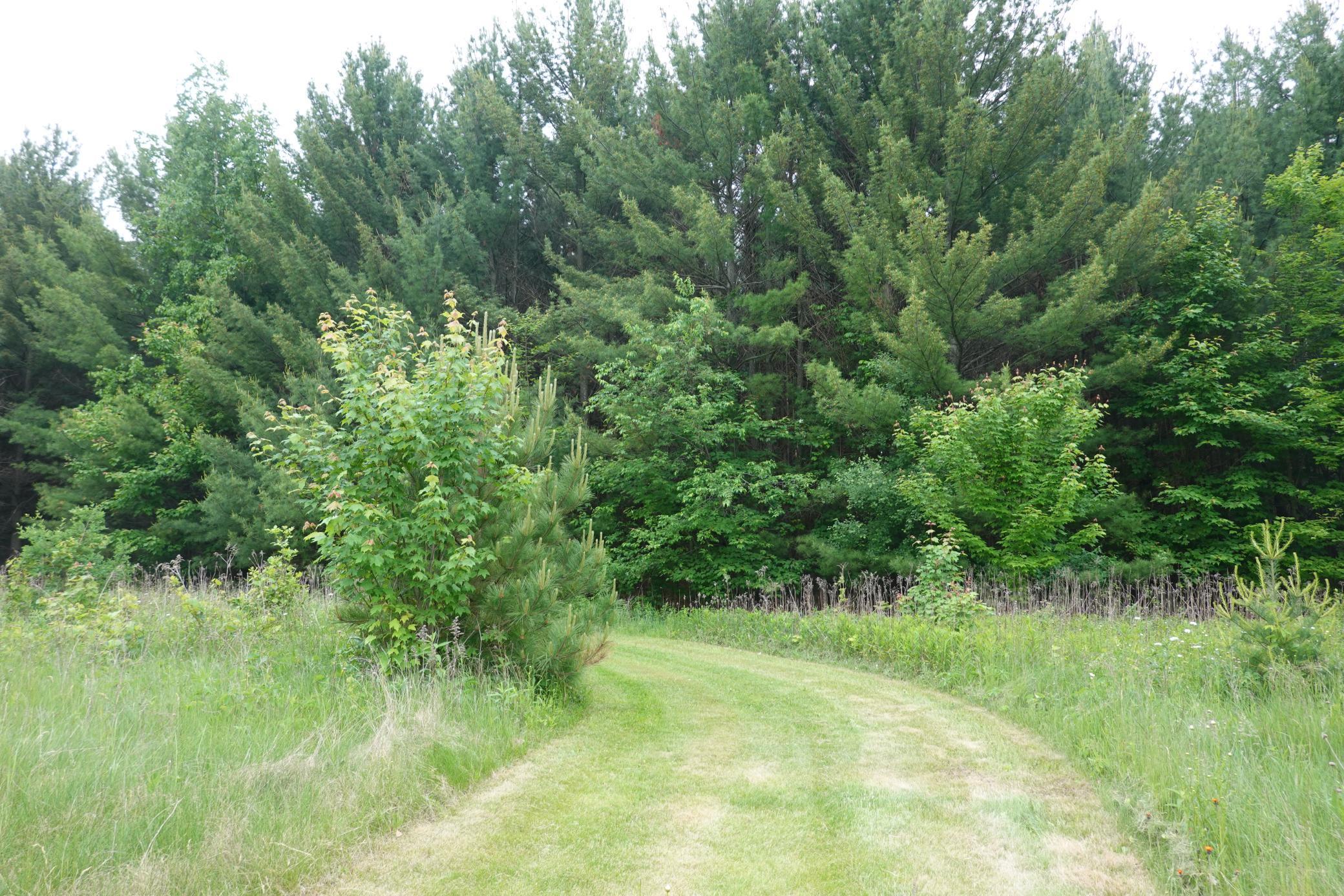 487 146th Avenue, Somerset, Wisconsin image 7