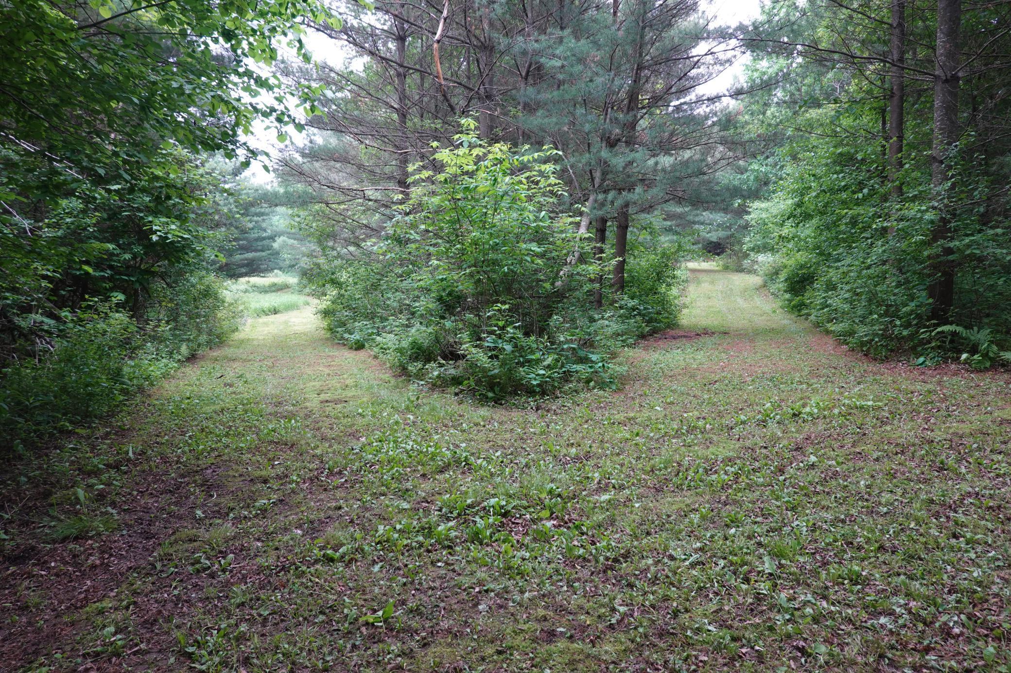487 146th Avenue, Somerset, Wisconsin image 46