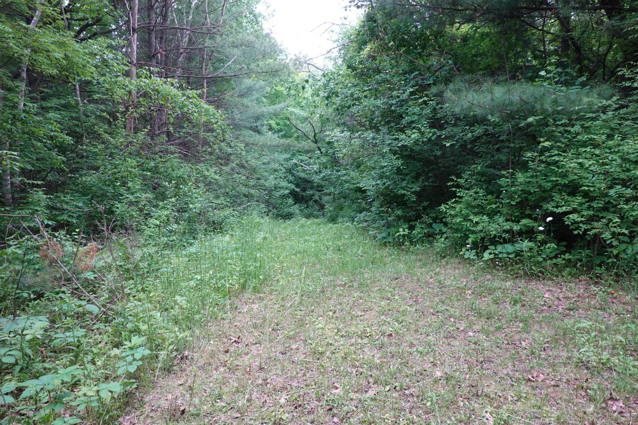 487 146th Avenue, Somerset, Wisconsin image 15