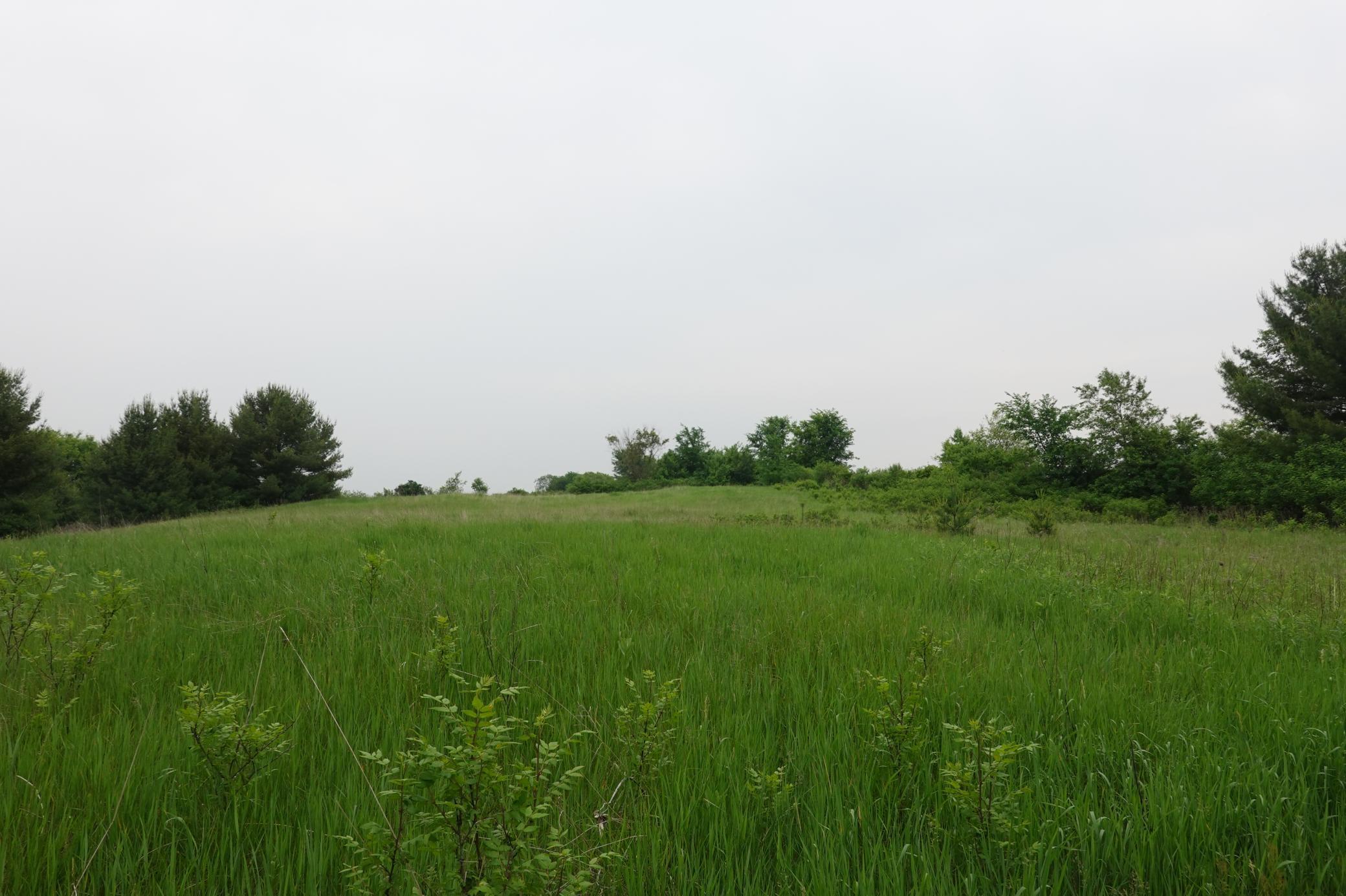 487 146th Avenue, Somerset, Wisconsin image 33