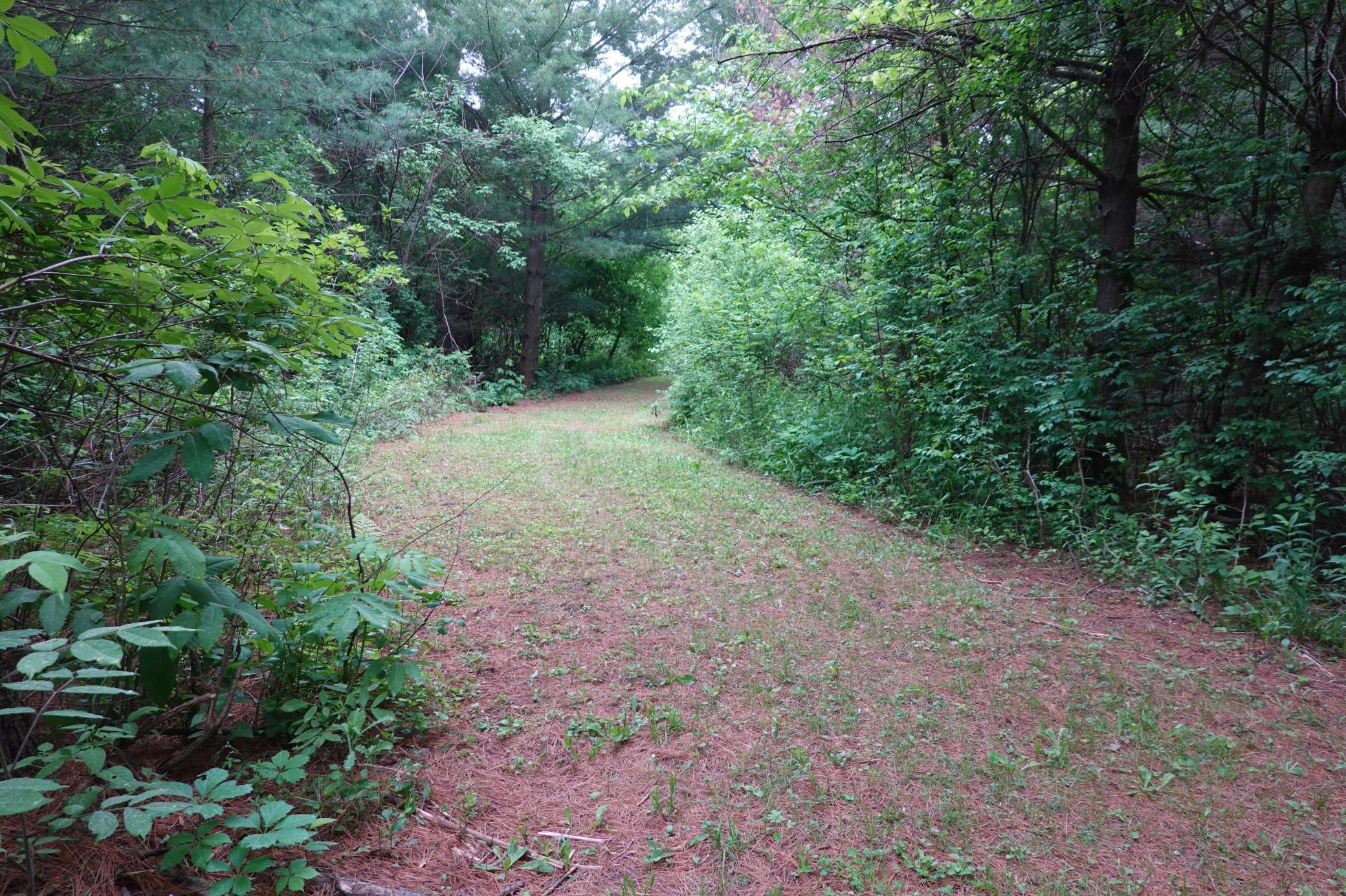 487 146th Avenue, Somerset, Wisconsin image 37
