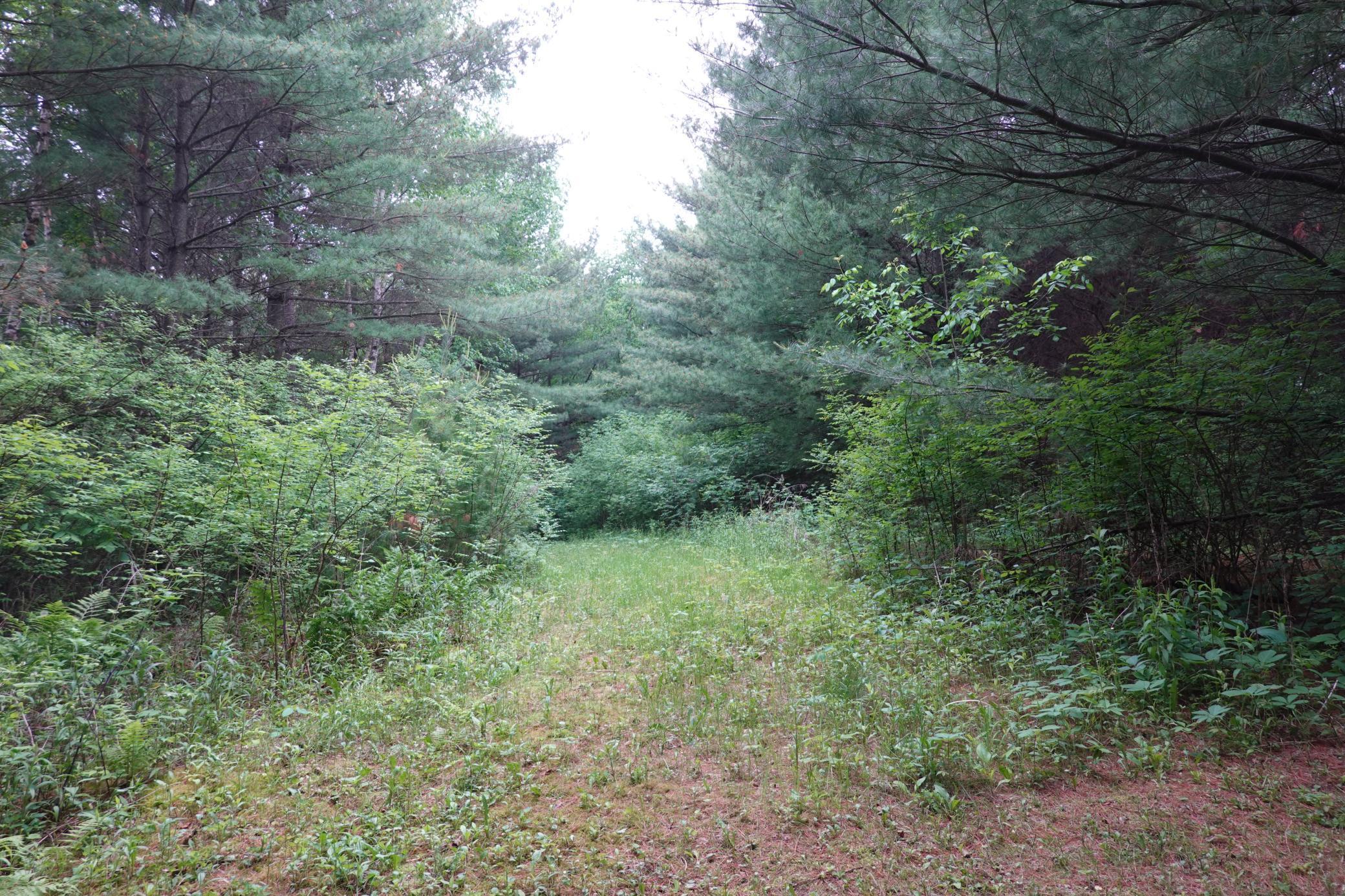 487 146th Avenue, Somerset, Wisconsin image 14