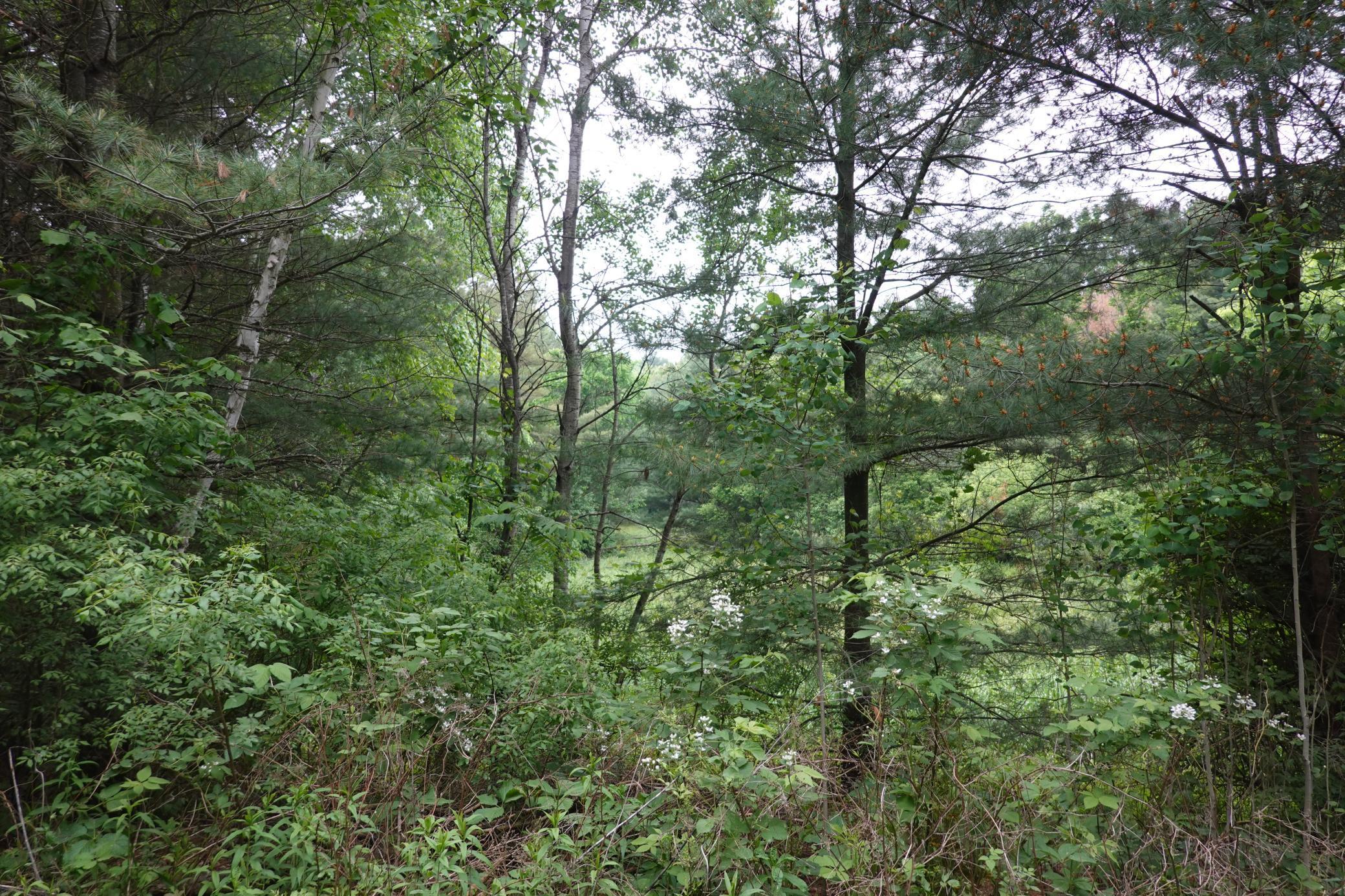 487 146th Avenue, Somerset, Wisconsin image 32