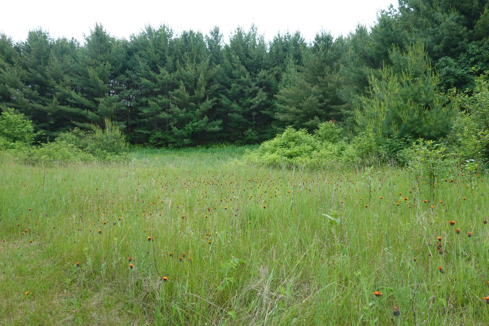 487 146th Avenue, Somerset, Wisconsin image 27