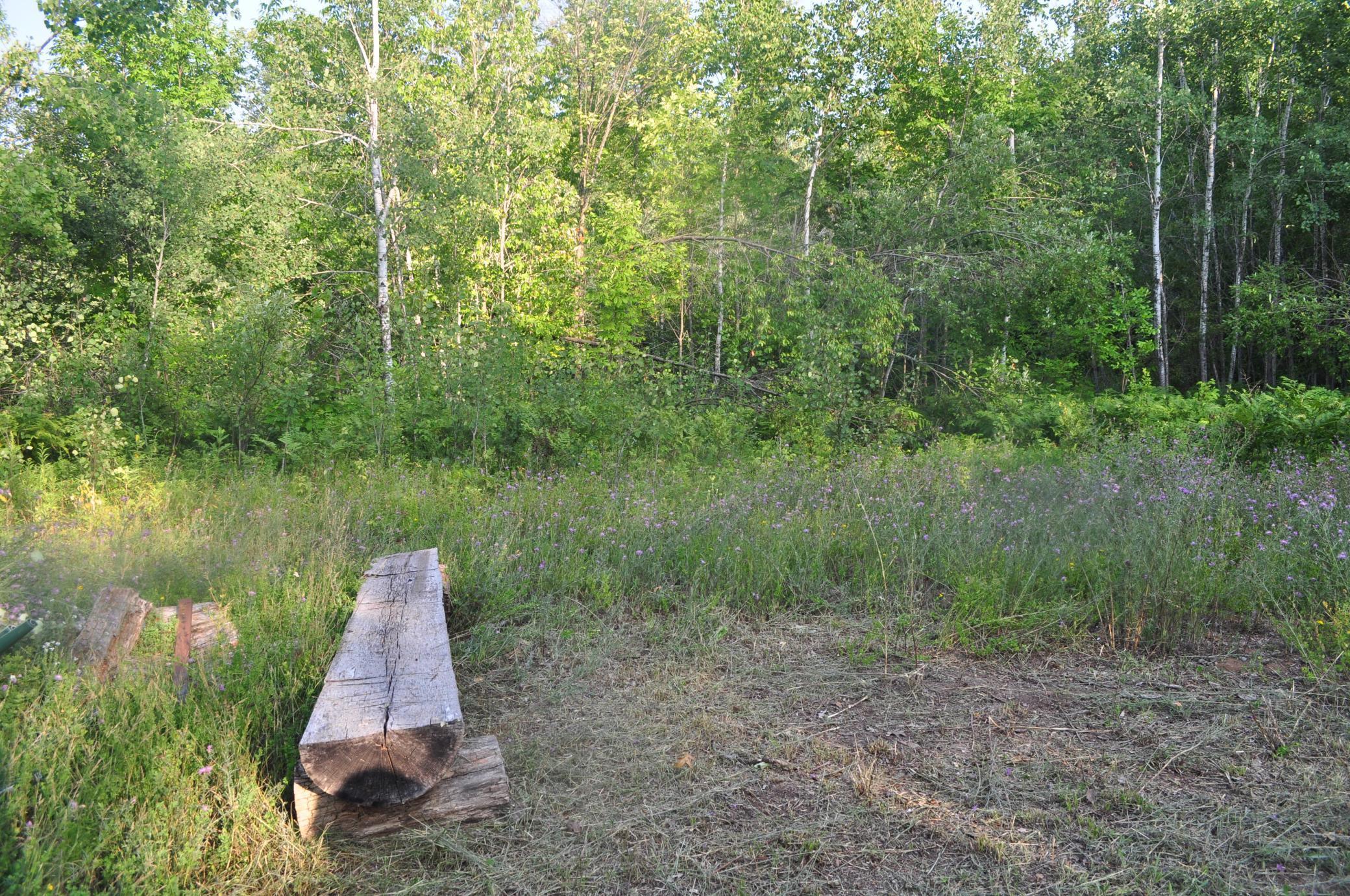 TBD Highway 65, Isle, Minnesota image 2