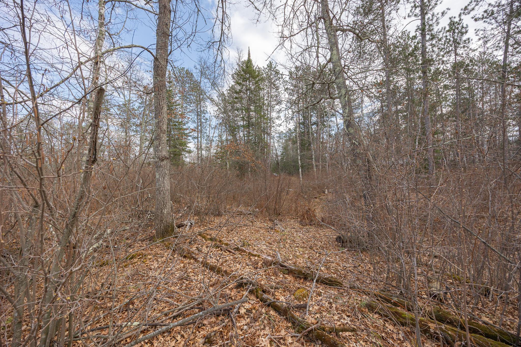 TBD N Bass Lake Drive, Remer, Minnesota image 17