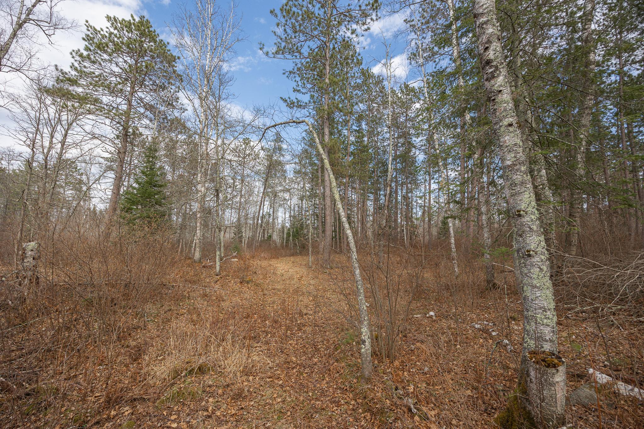 TBD N Bass Lake Drive, Remer, Minnesota image 18