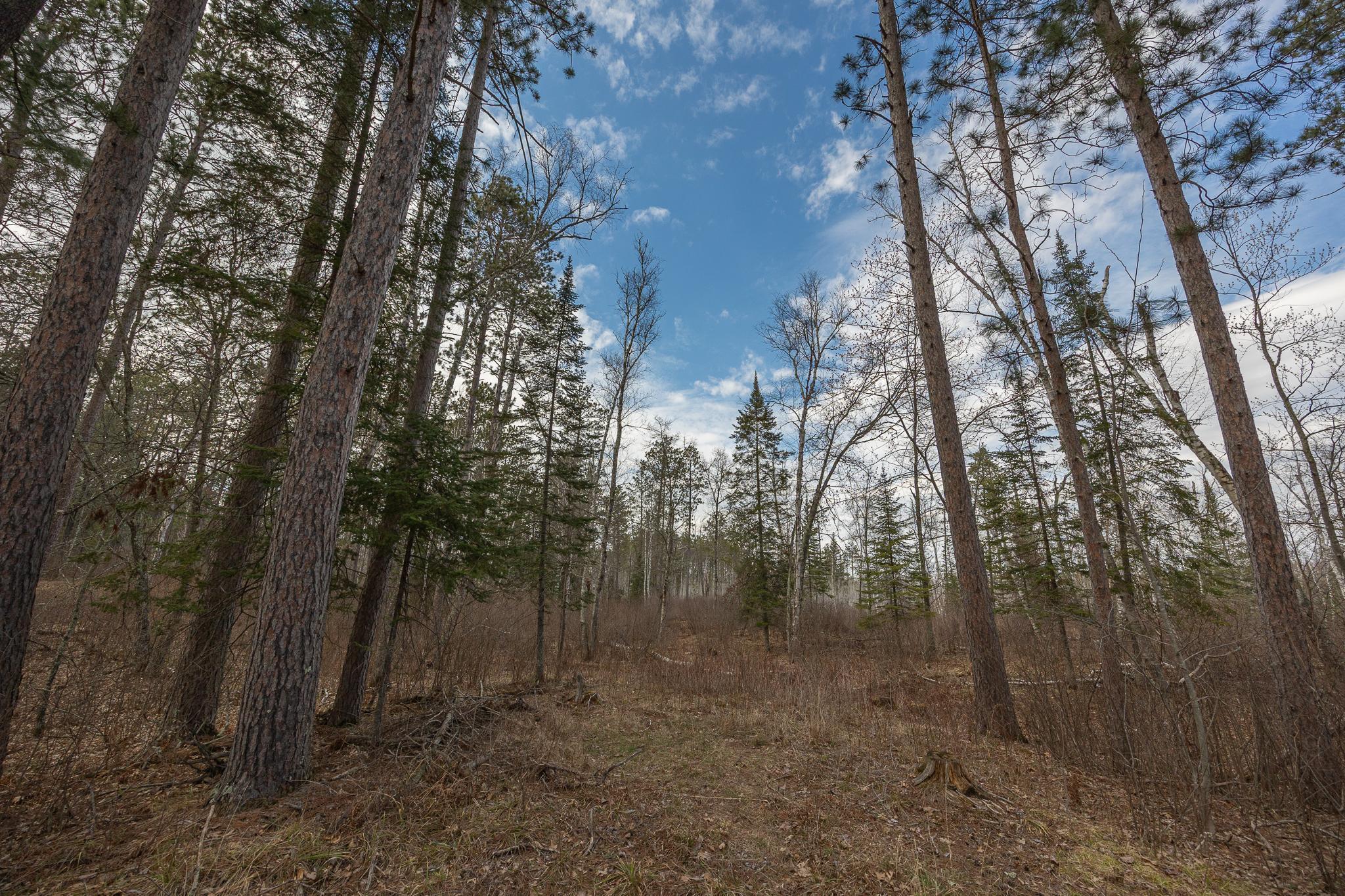 TBD N Bass Lake Drive, Remer, Minnesota image 1