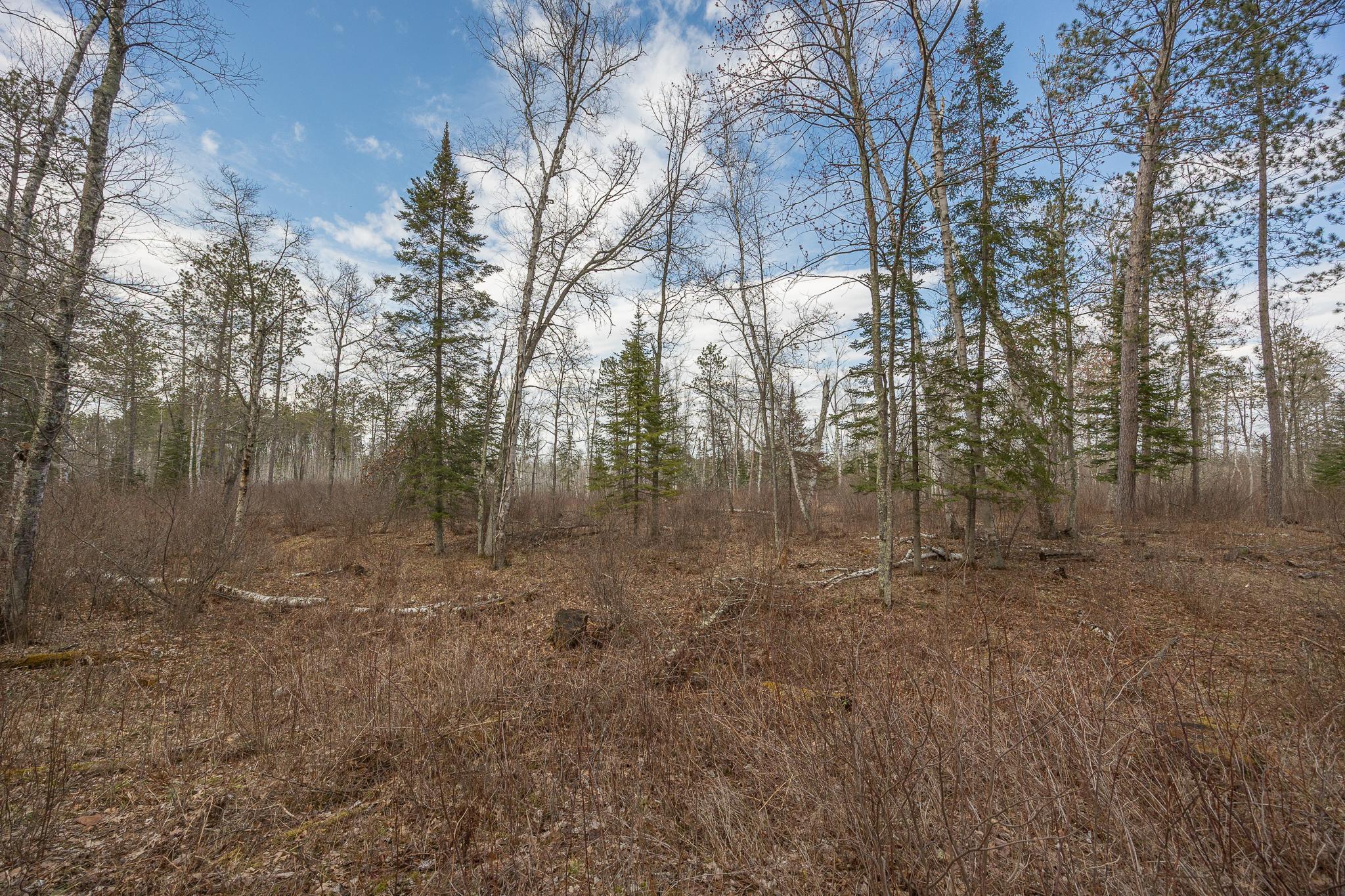 TBD N Bass Lake Drive, Remer, Minnesota image 8