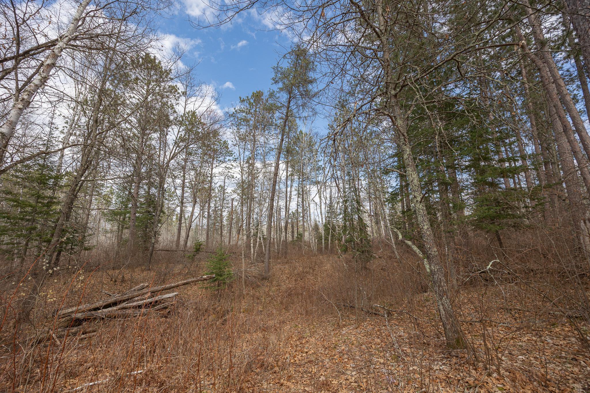 TBD N Bass Lake Drive, Remer, Minnesota image 20