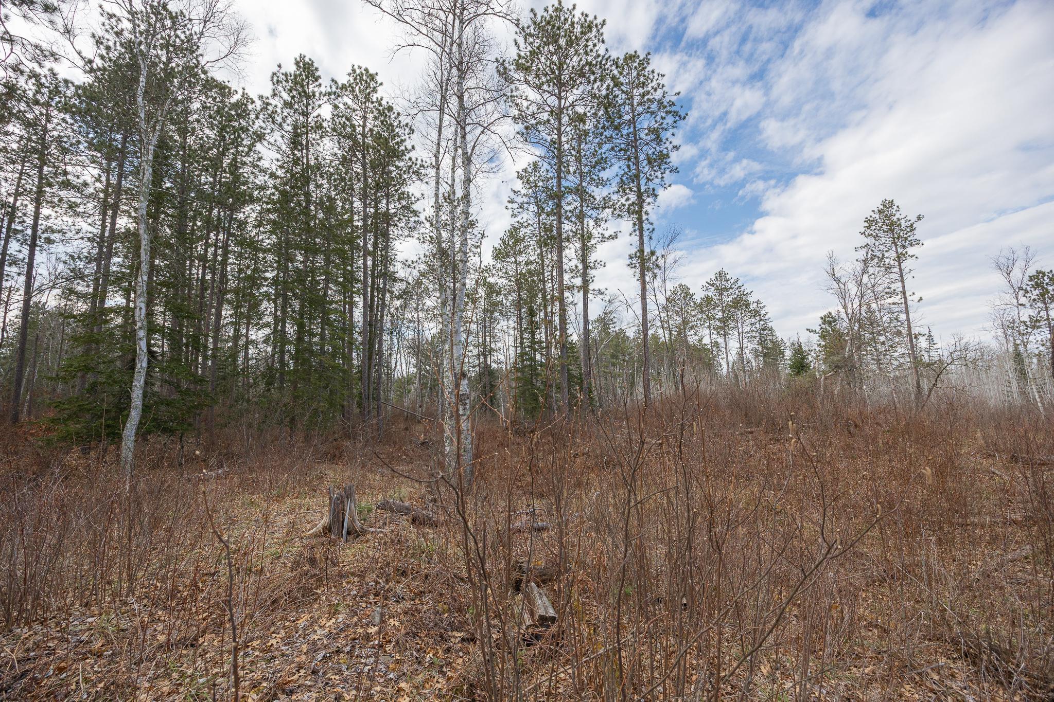 TBD N Bass Lake Drive, Remer, Minnesota image 16