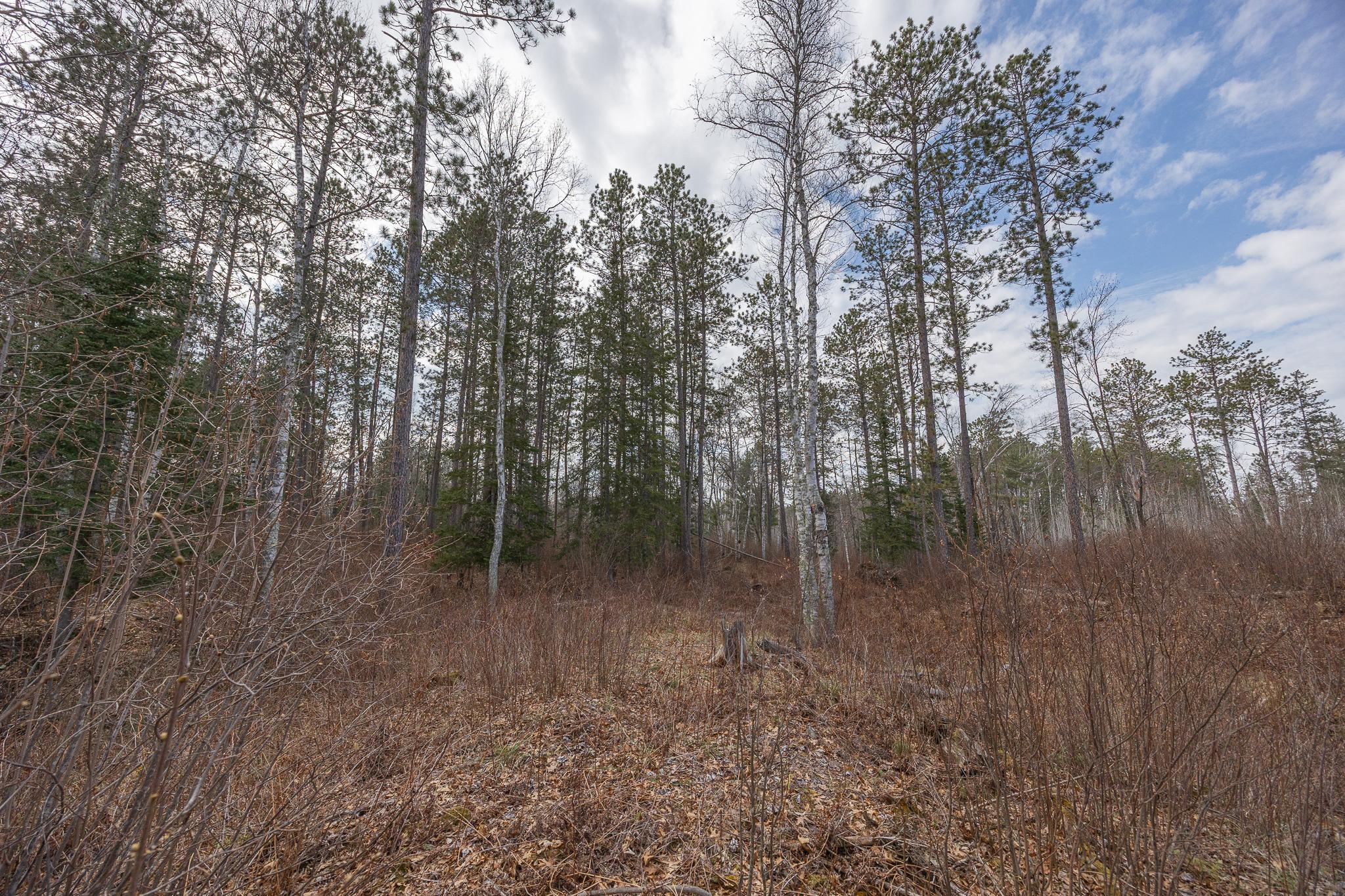 TBD N Bass Lake Drive, Remer, Minnesota image 15