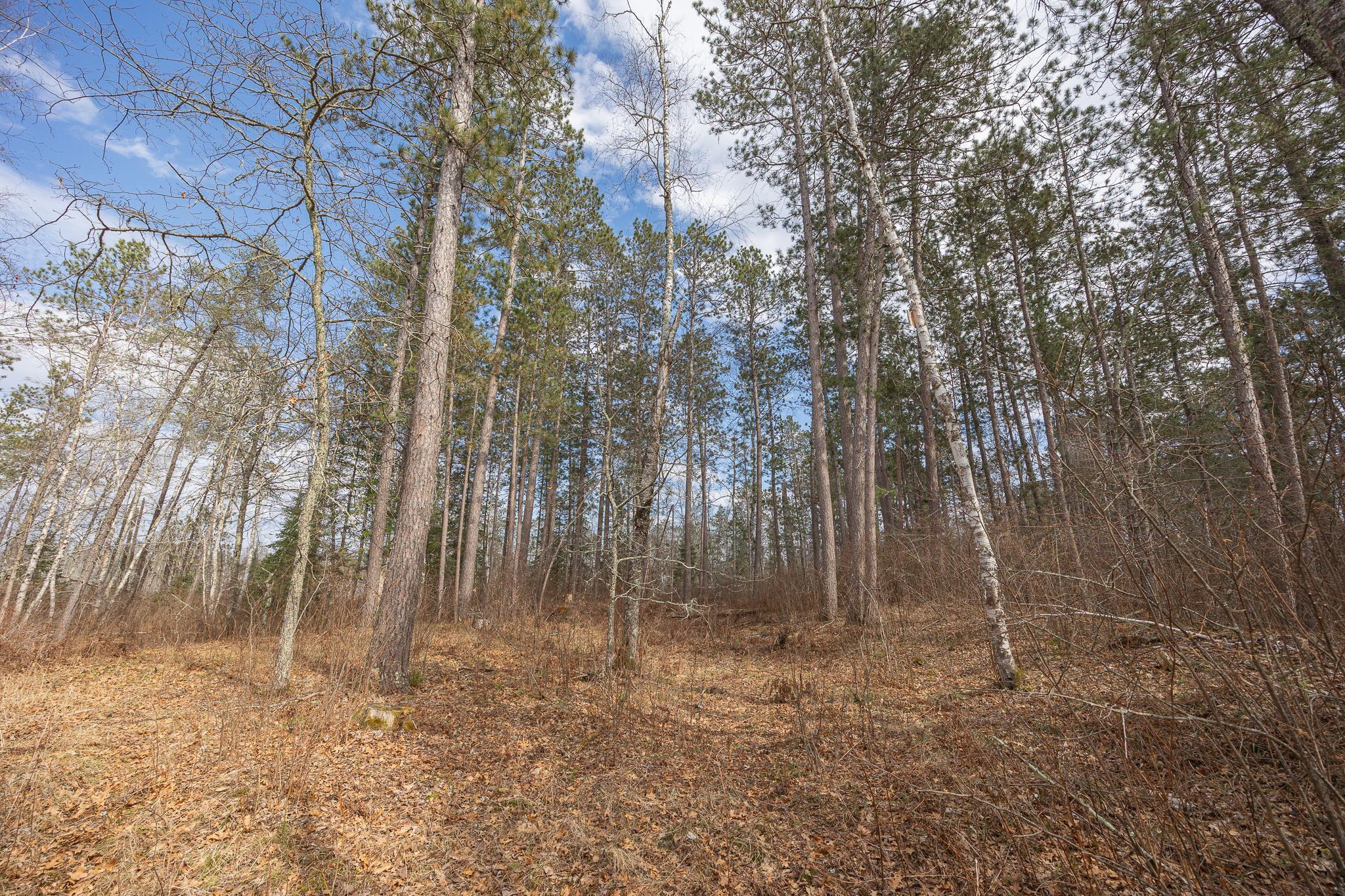 TBD N Bass Lake Drive, Remer, Minnesota image 19