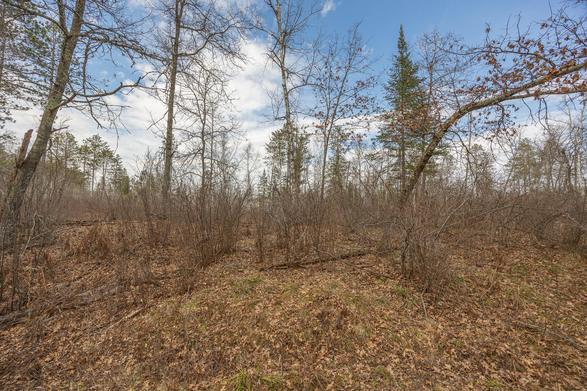 TBD N Bass Lake Drive, Remer, Minnesota image 14