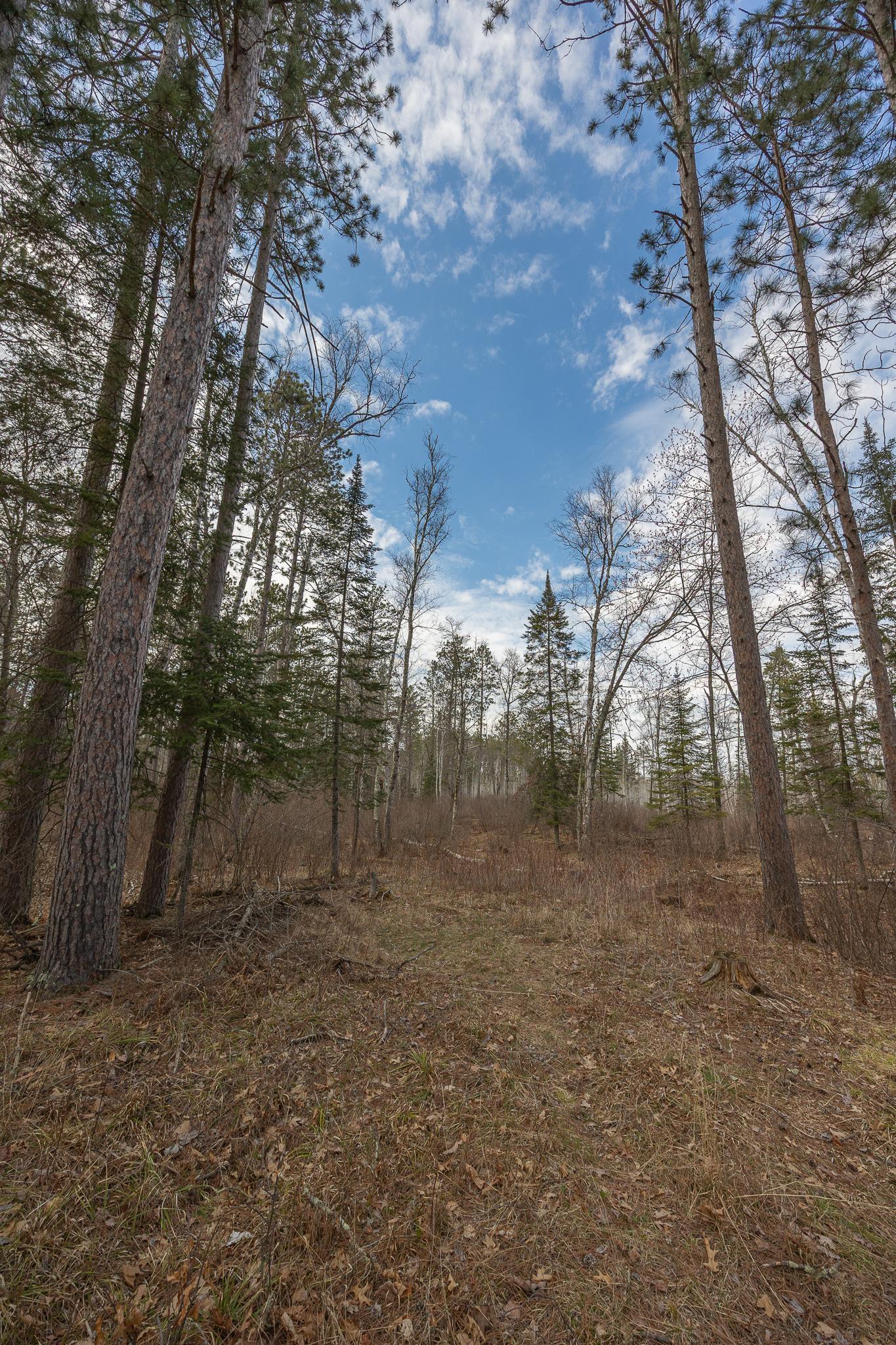TBD N Bass Lake Drive, Remer, Minnesota image 6