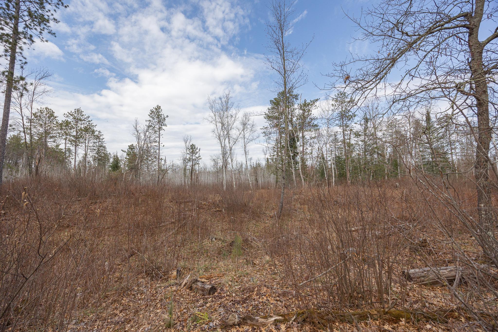TBD N Bass Lake Drive, Remer, Minnesota image 10