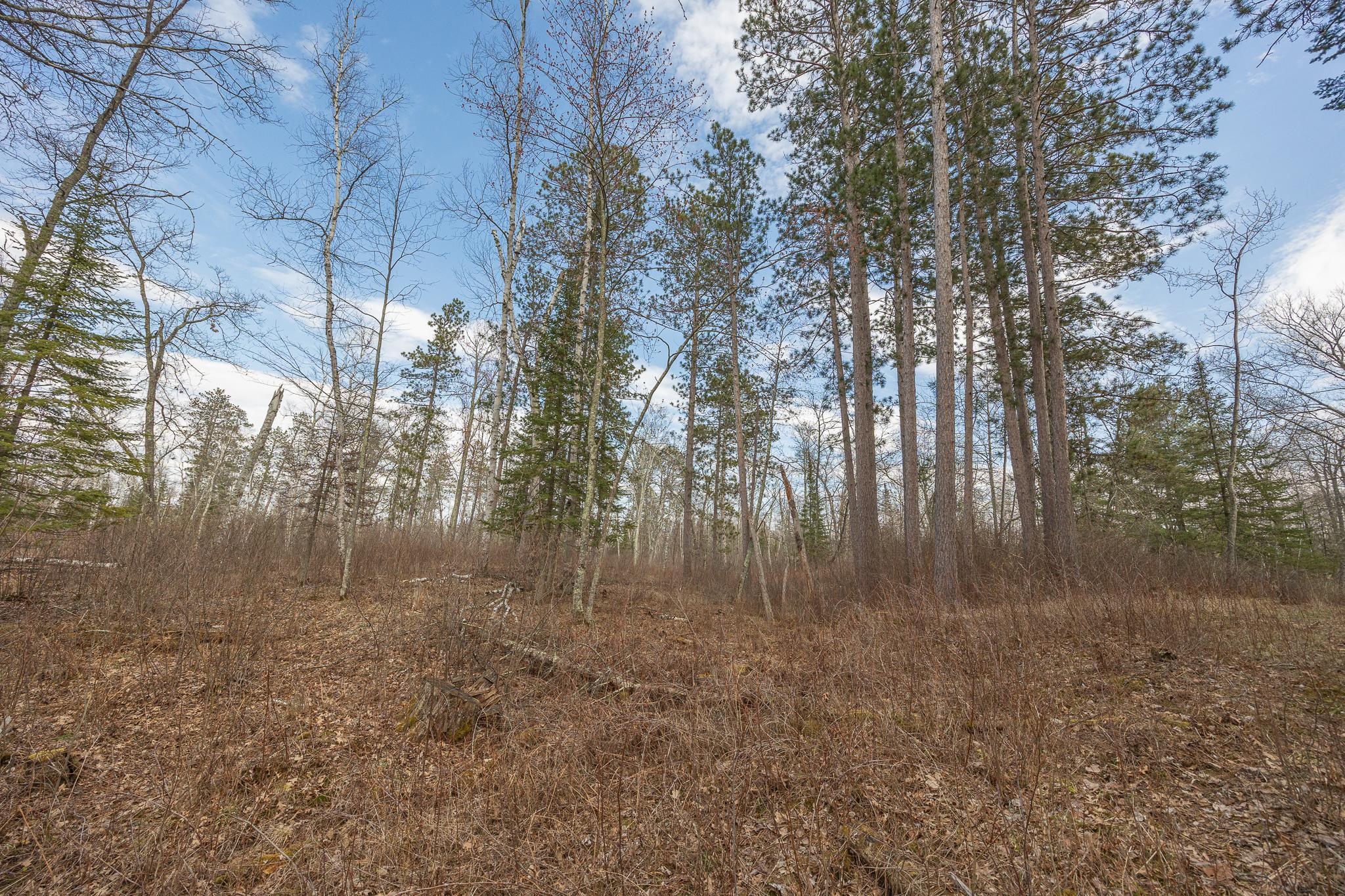 TBD N Bass Lake Drive, Remer, Minnesota image 9