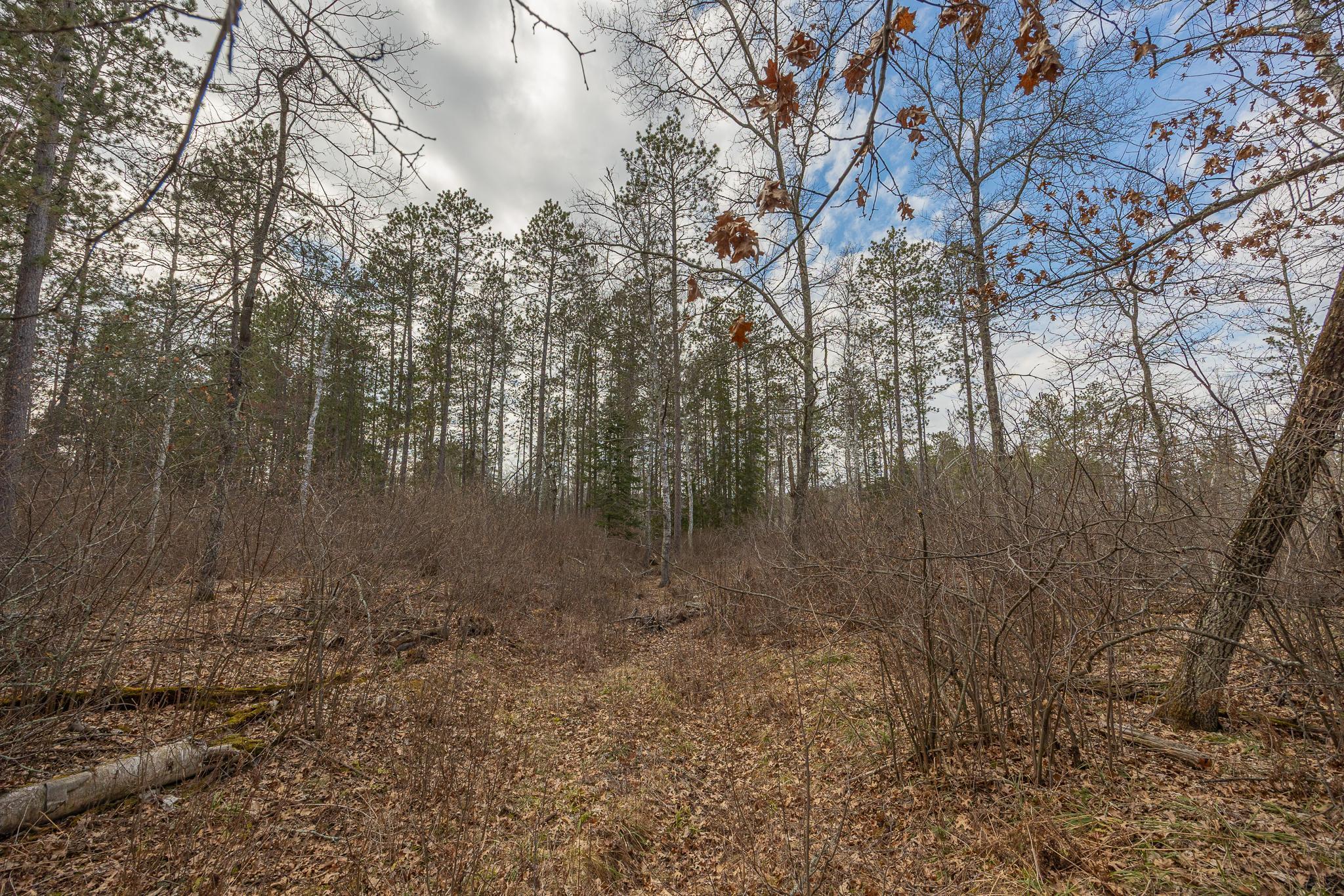 TBD N Bass Lake Drive, Remer, Minnesota image 12