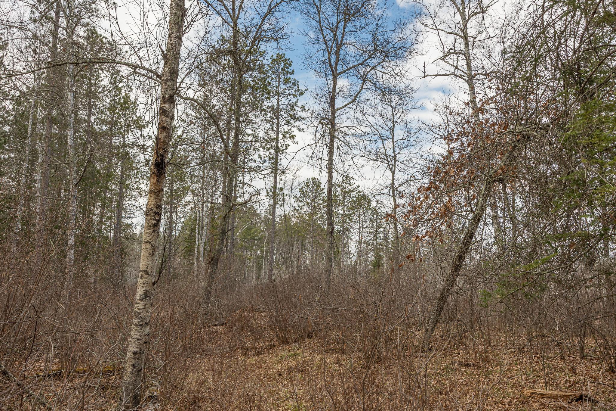 TBD N Bass Lake Drive, Remer, Minnesota image 11