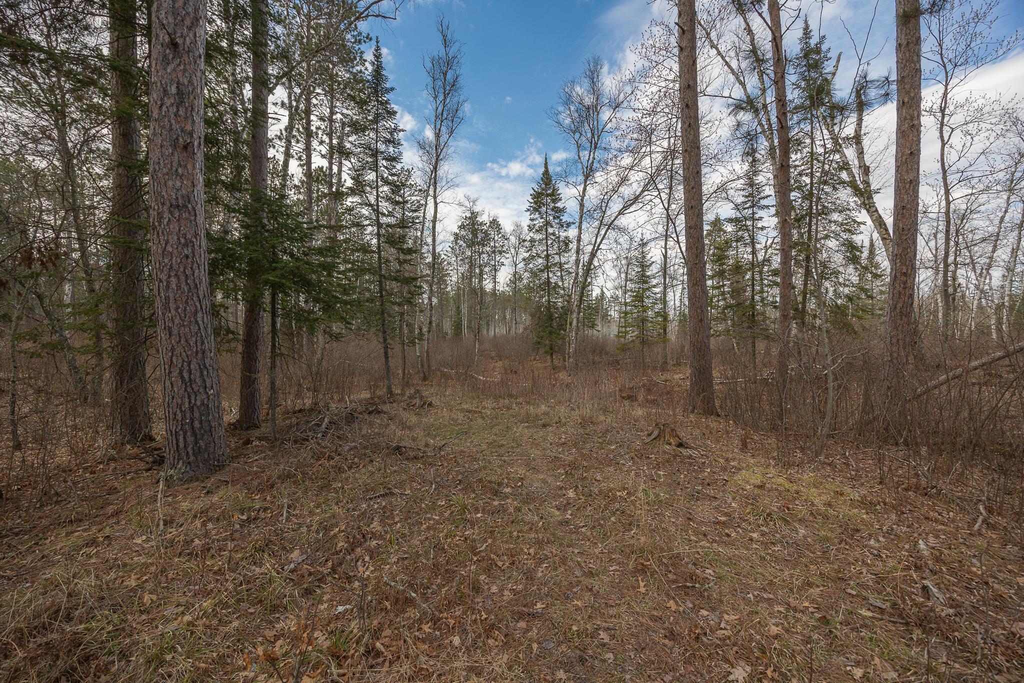 TBD N Bass Lake Drive, Remer, Minnesota image 7