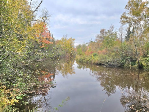 Vacant Land For Sale - TBD 170th Lane<br/> Aitkin County, Mc Grath, MN 56350