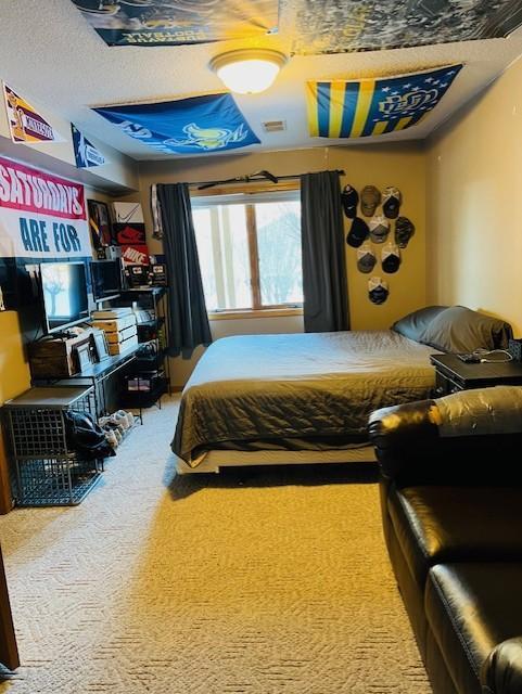218 Oak Leaf Drive, Winona, Minnesota image 23