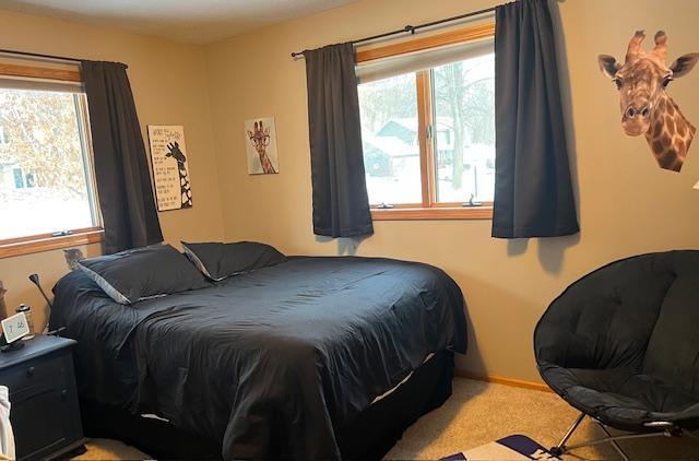 218 Oak Leaf Drive, Winona, Minnesota image 13