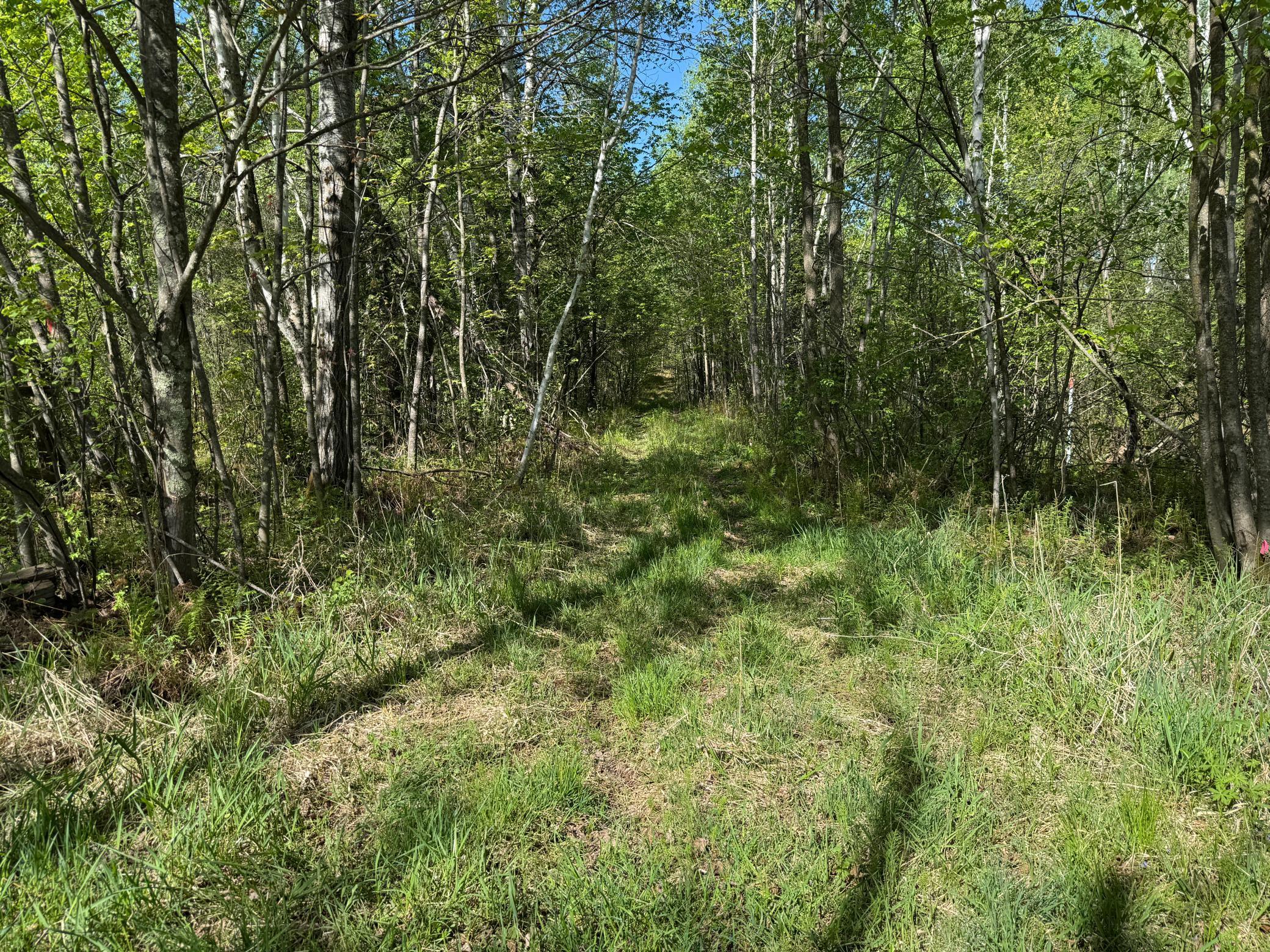 TBD 330th Lane, Aitkin, Minnesota image 14