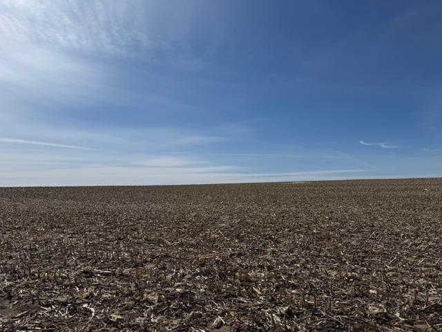 0000 County 61, Browerville, Minnesota image 28
