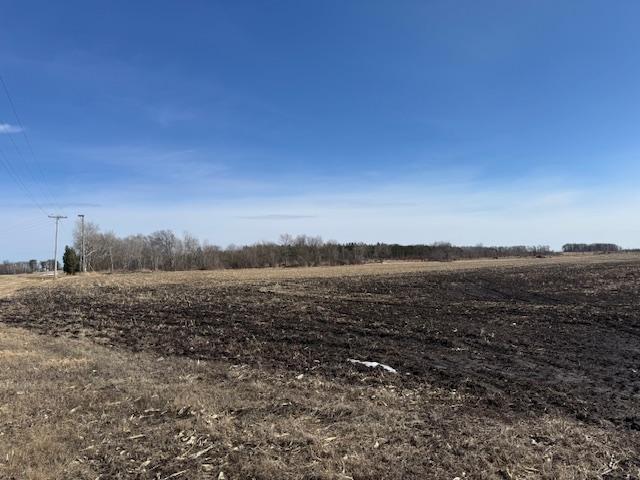 0000 County 61, Browerville, Minnesota image 14