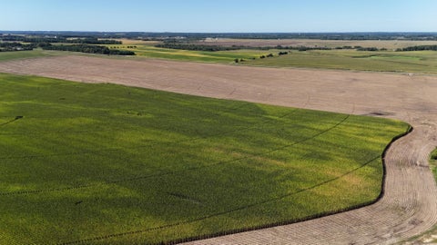 Vacant Land For Sale - 0000 County 61<br/> Browerville, MN 56438