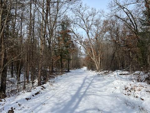 Nash Road, Black River Falls, Wisconsin image 12